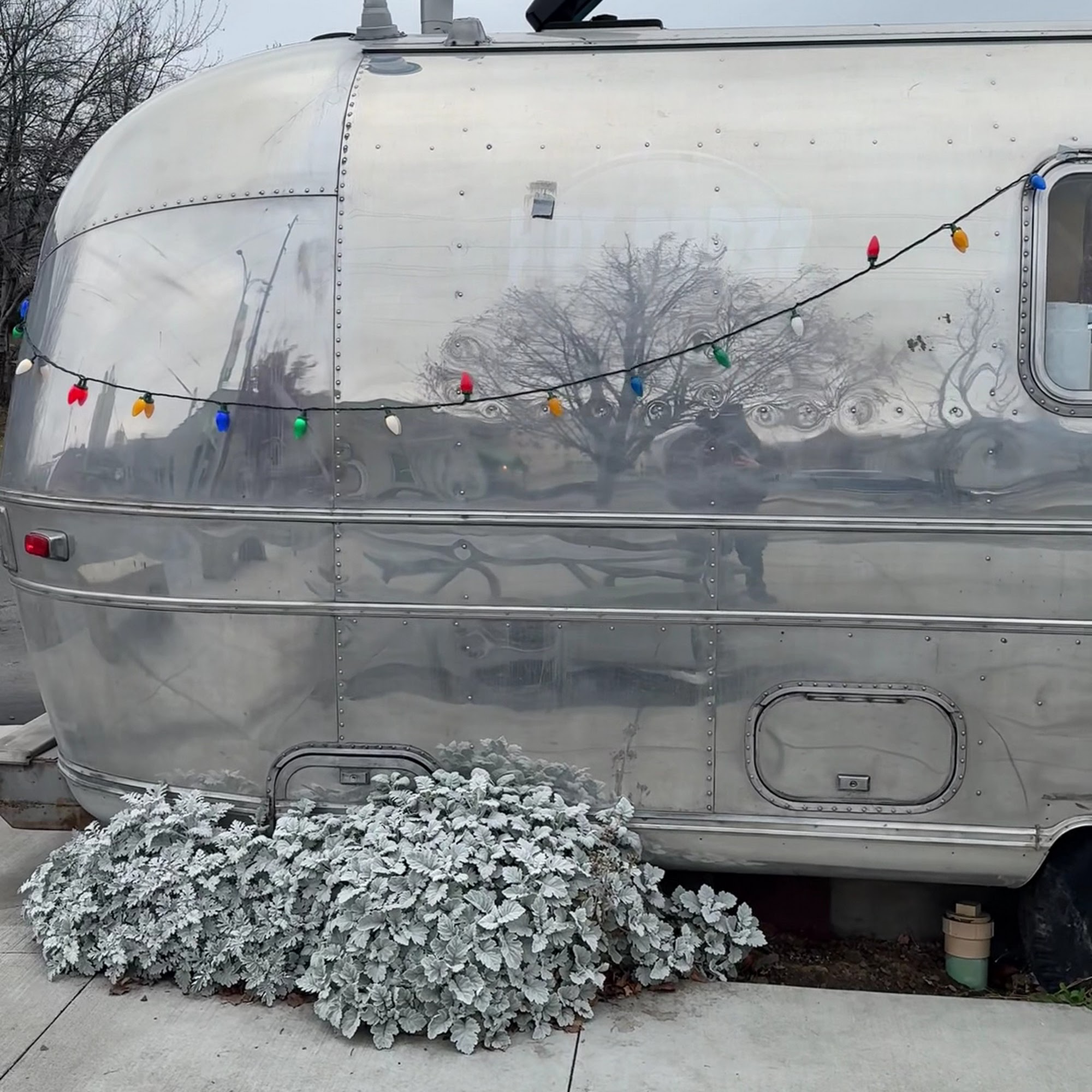 Little Red's Espresso & Bakery Wenatchee