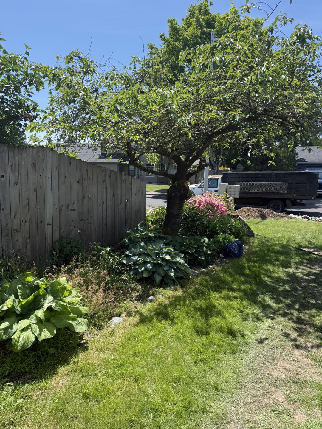 Cortes Landscape Yard Service