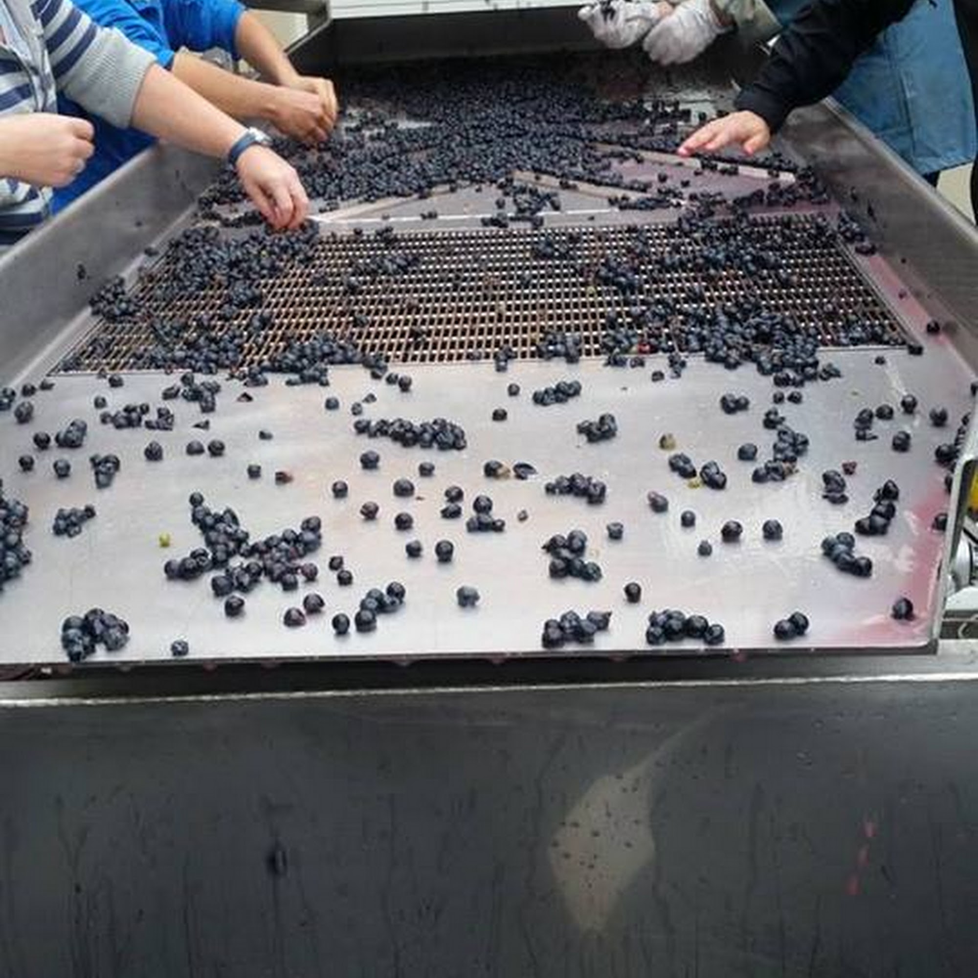 Patterson Cellars Tasting Room Warehouse District Woodinville