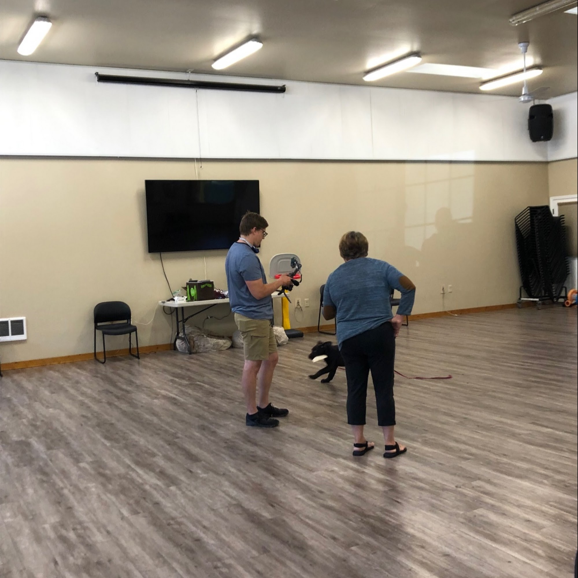 Puppy Manners Woodinville