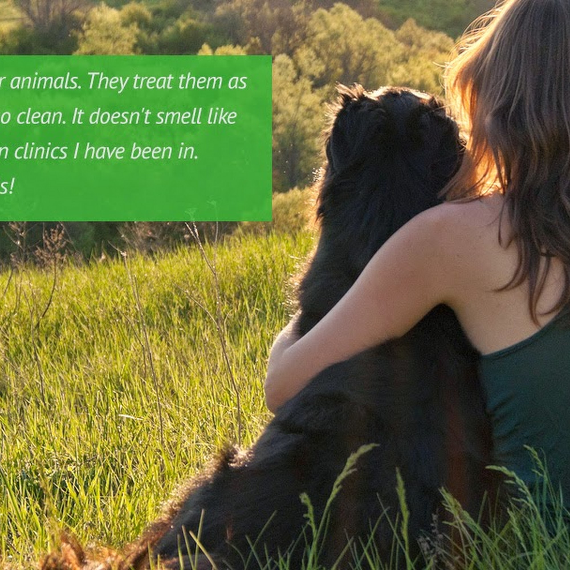 Woodland Veterinary Hospital Woodland