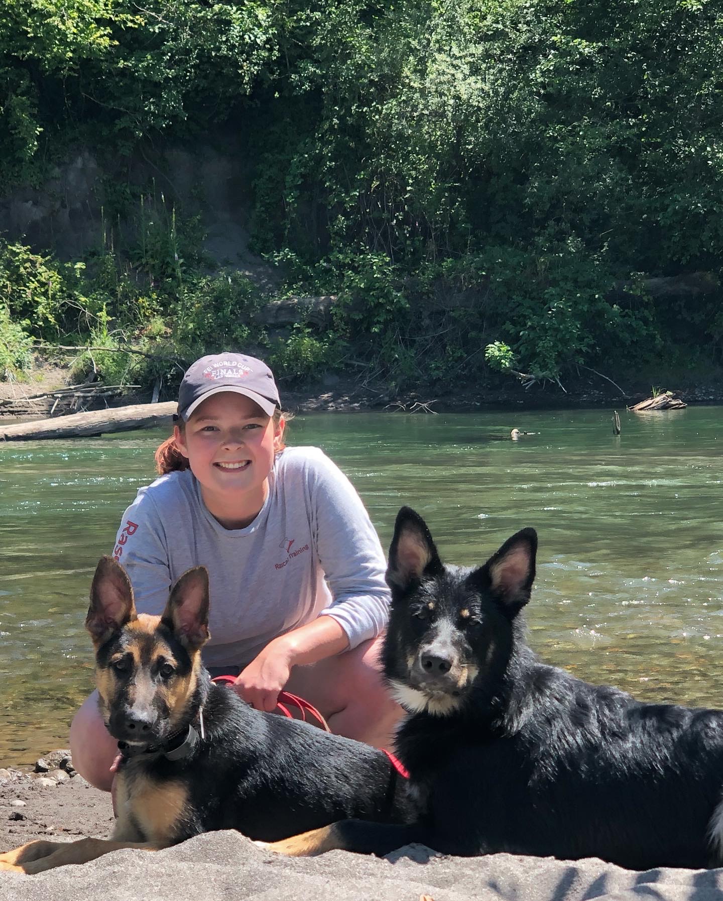 Rascal Training & Boarding Woodland