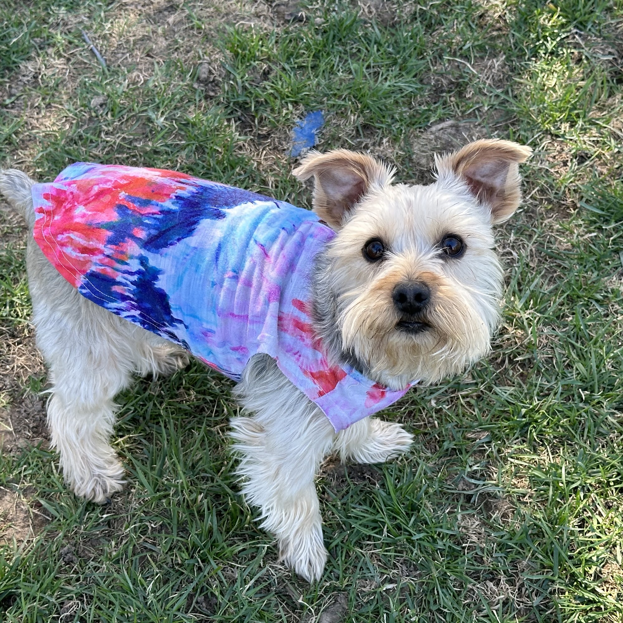 Companion Animal Clinic Yakima