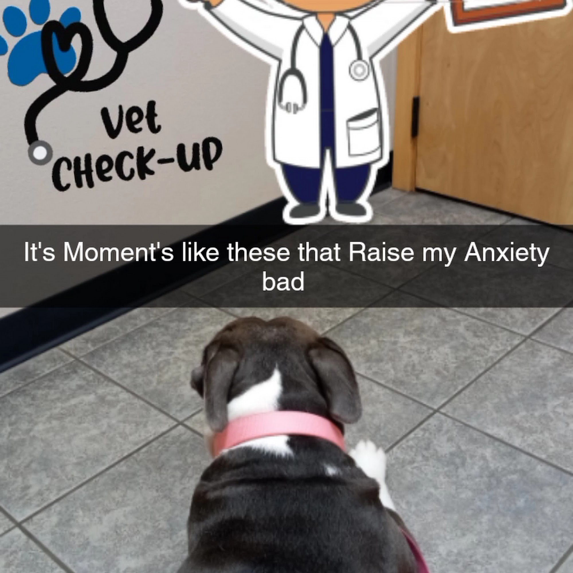 Airport West Animal Clinic Yakima