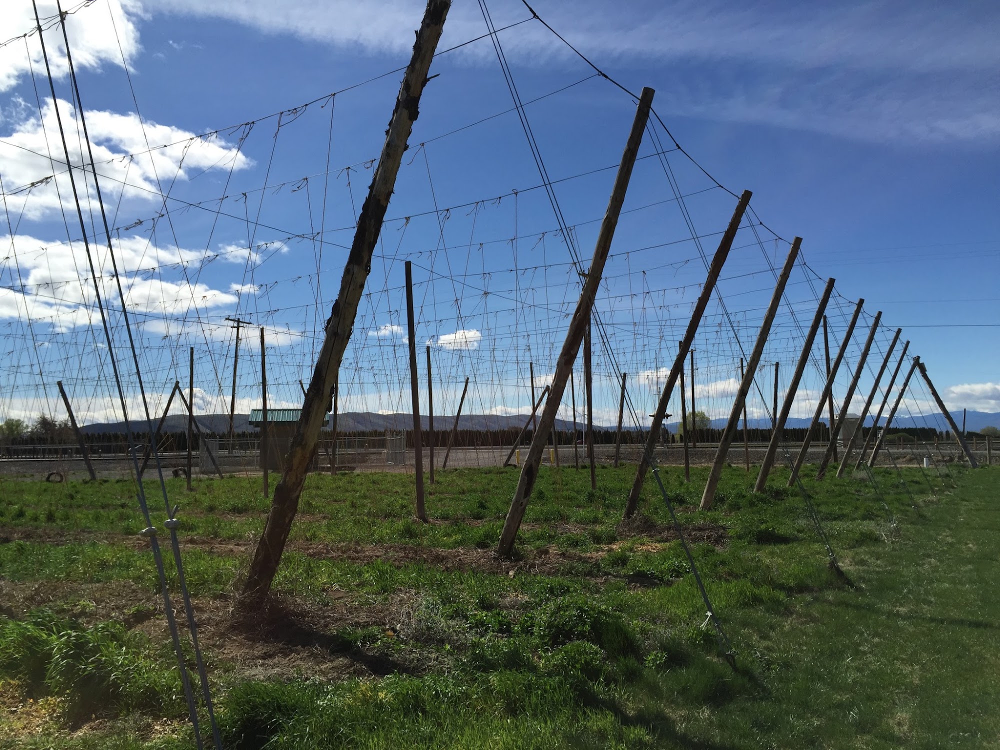 Bale Breaker Brewing Company Yakima