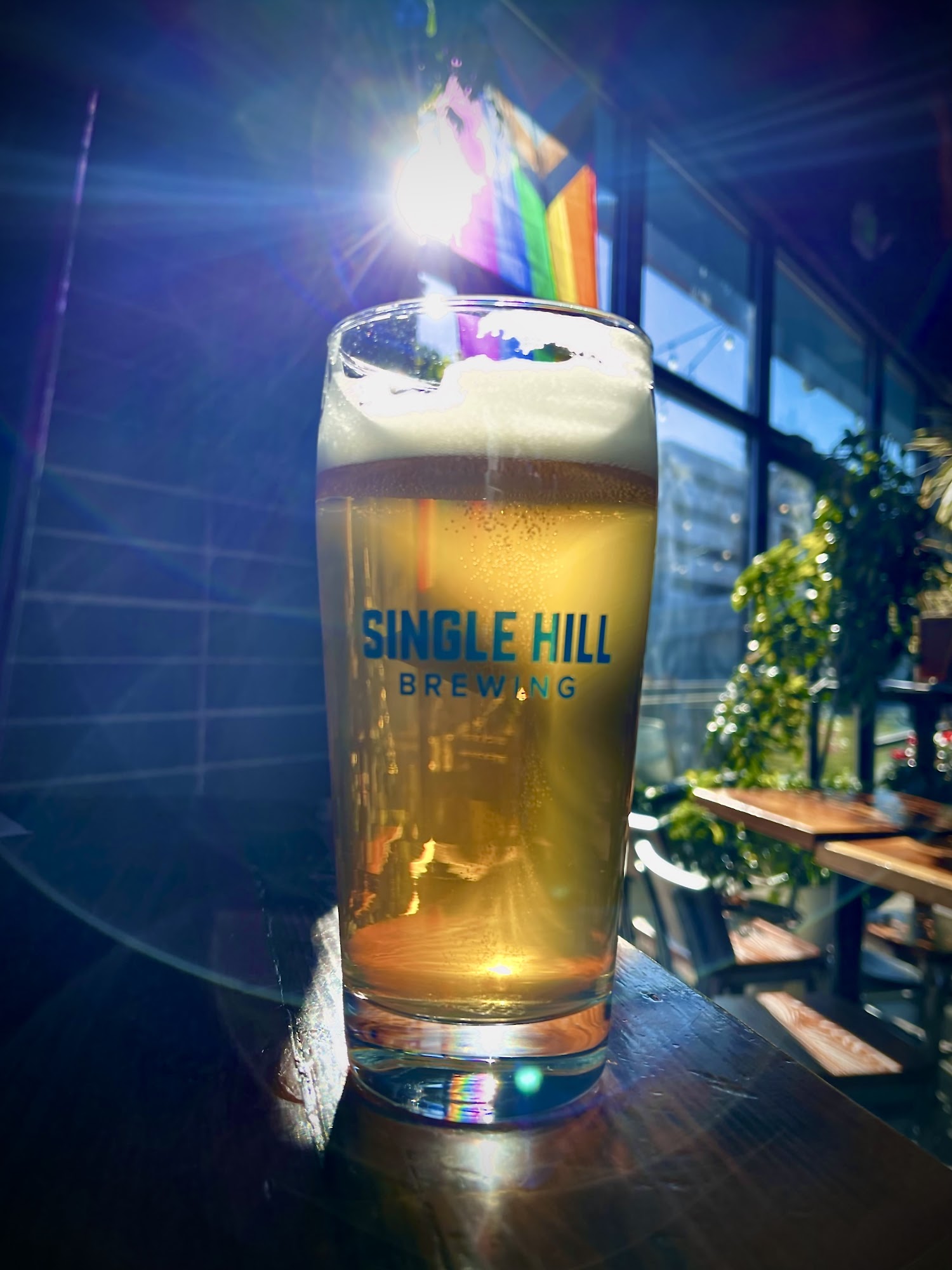 Single Hill Brewing Yakima