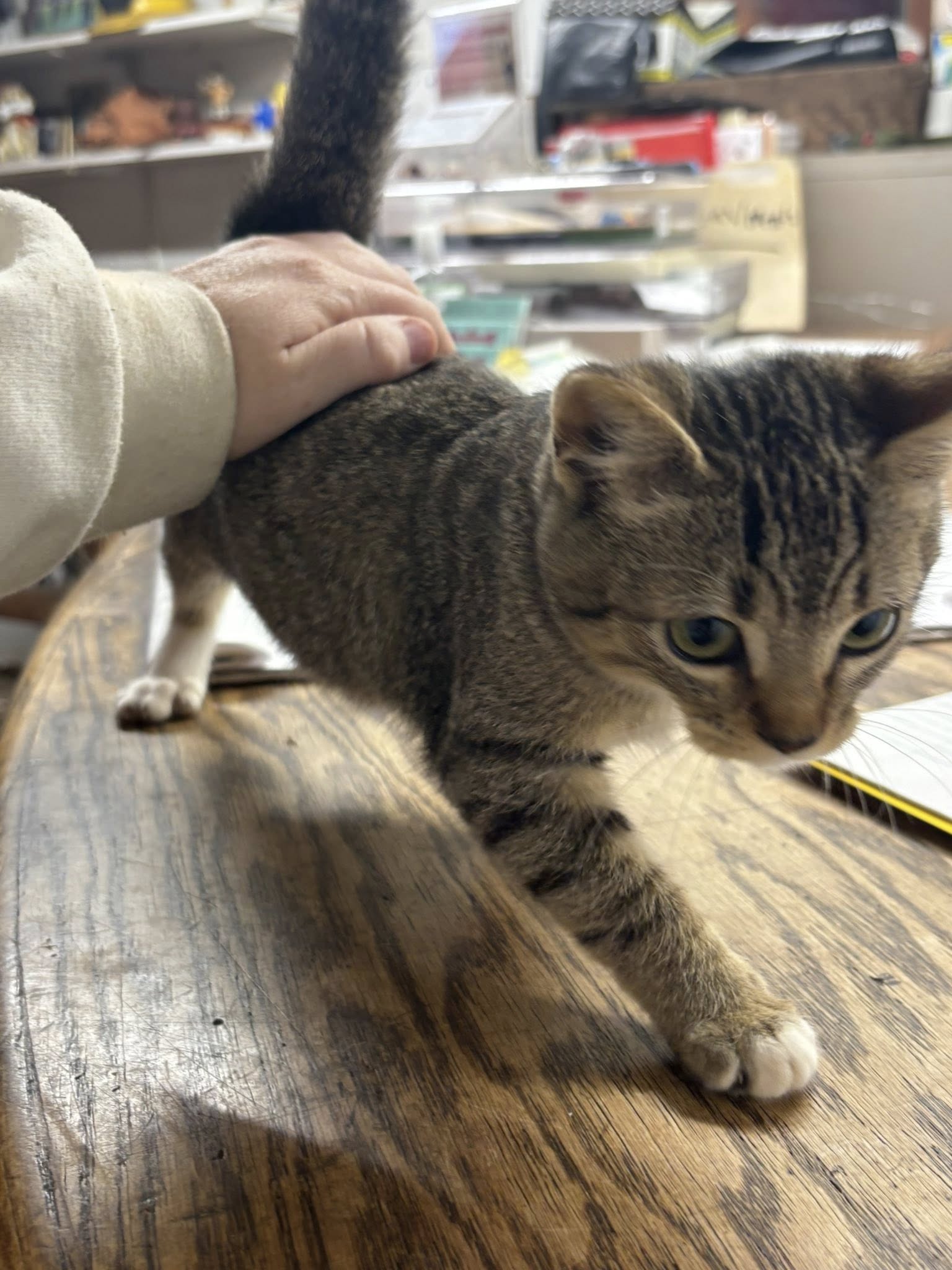 West Valley Boarding Kennels Yakima