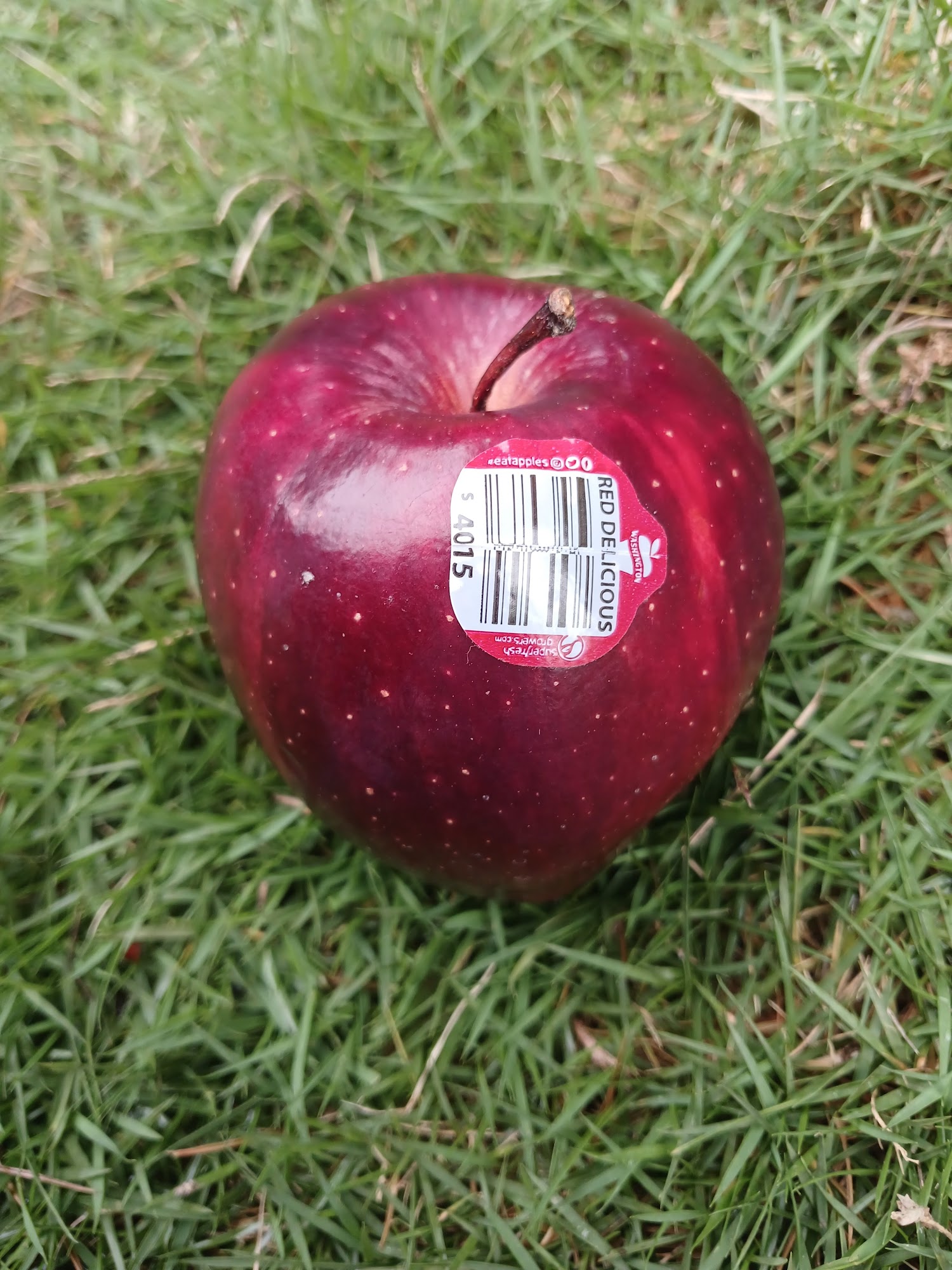 Superfresh Growers, Inc.