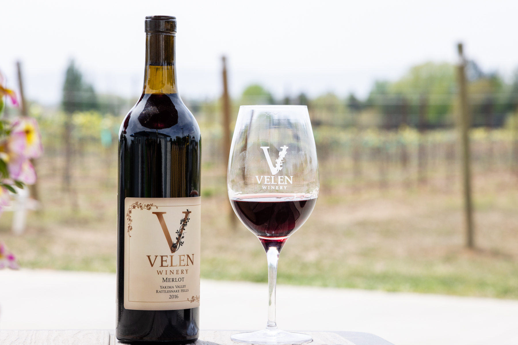 Velen Winery Zillah