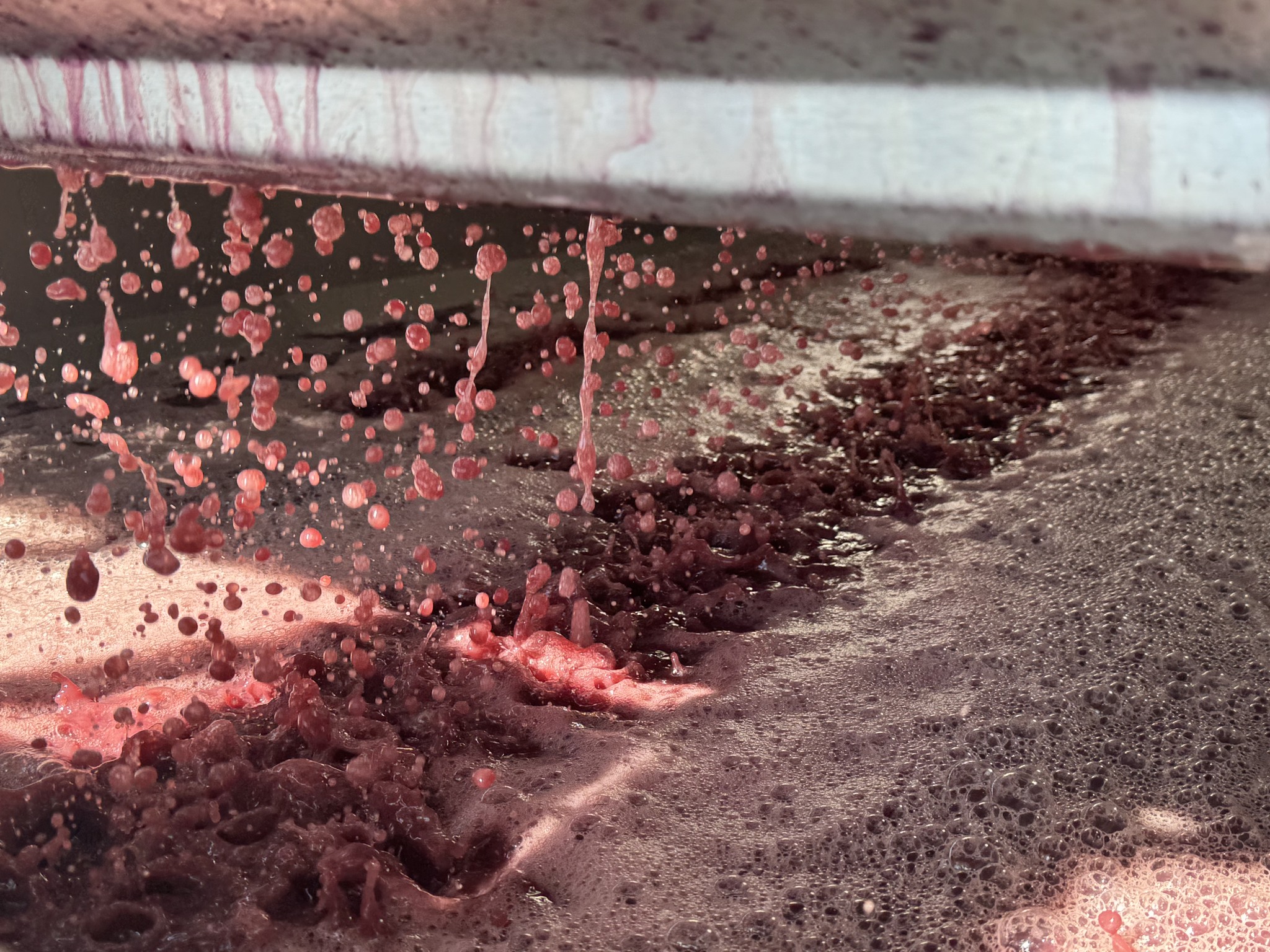 Whitman Hill Winery Zillah