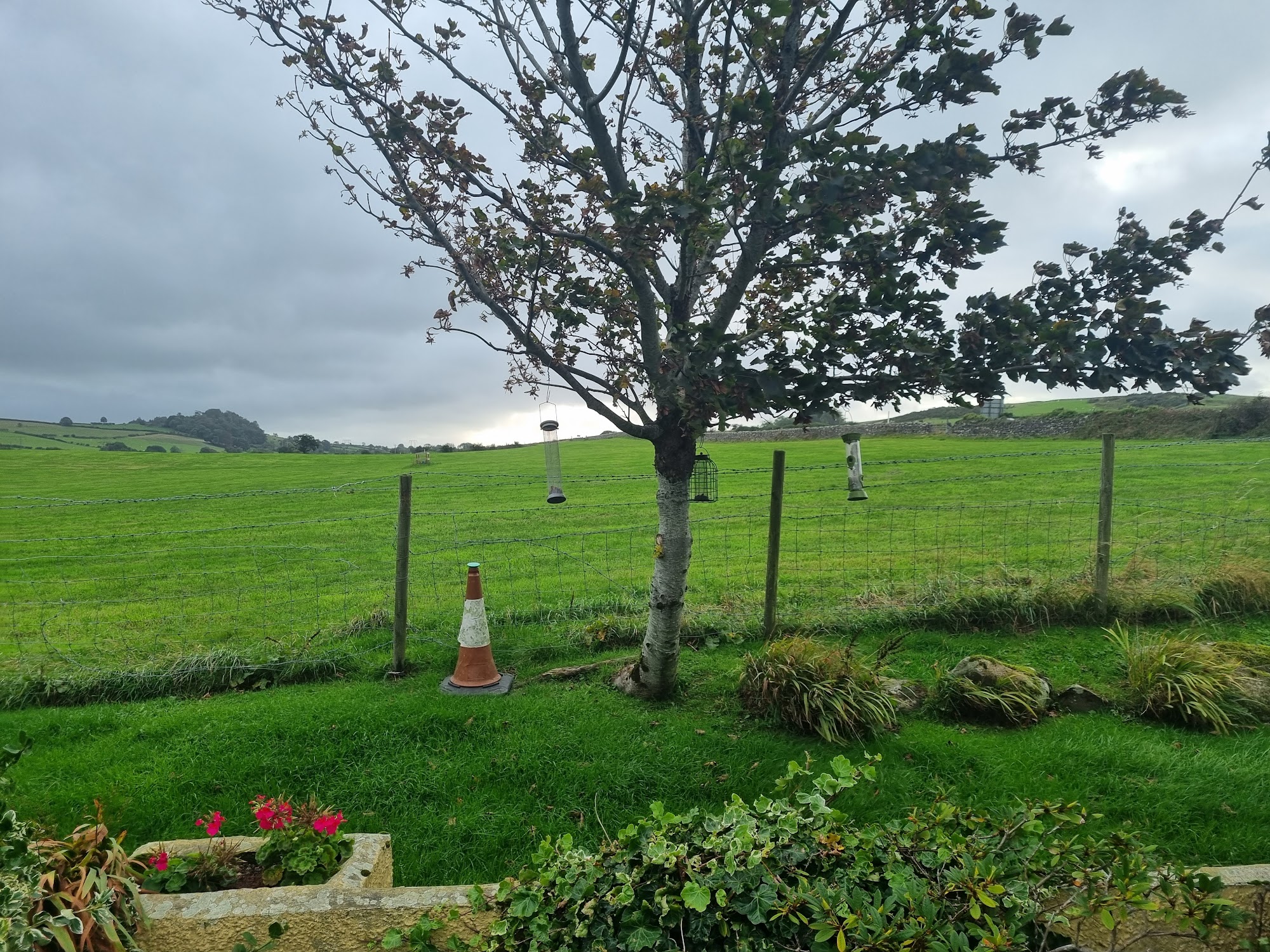 Groeslon Tŷ Mawr