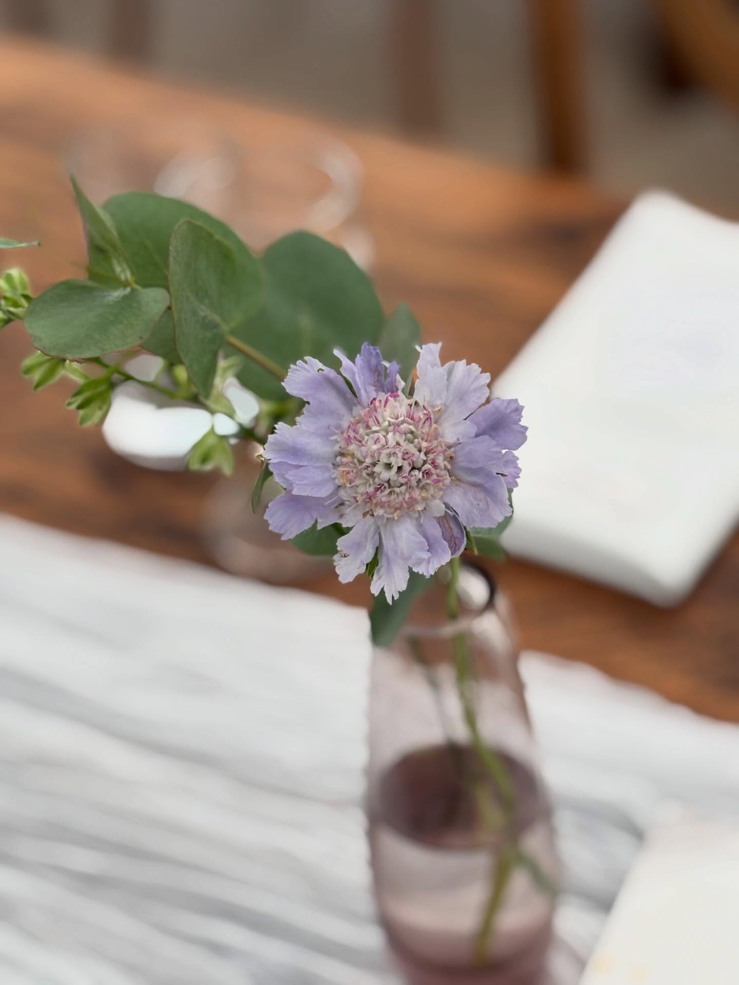 The Very Nice Flower Company