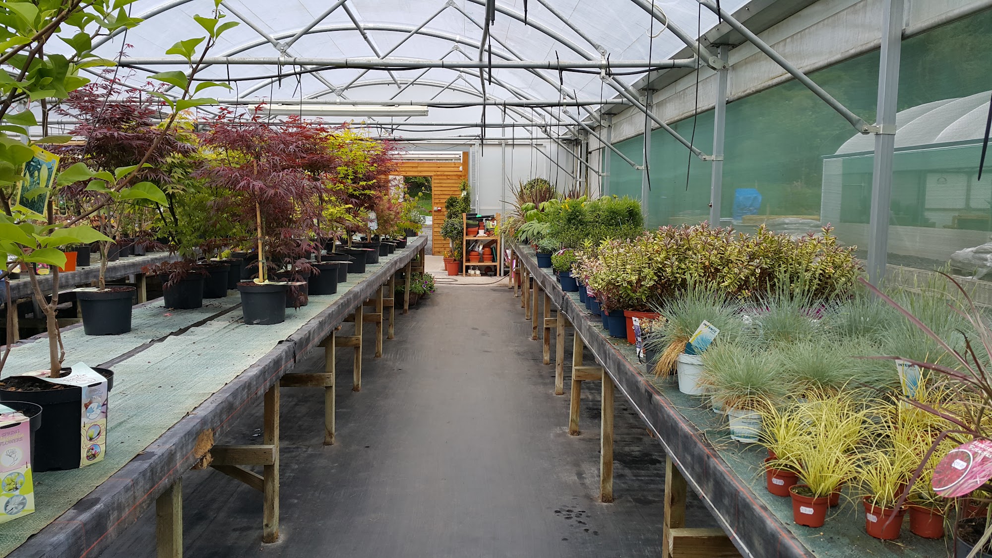 Ystrad Nursery, Agricultural Supplies & Cafe