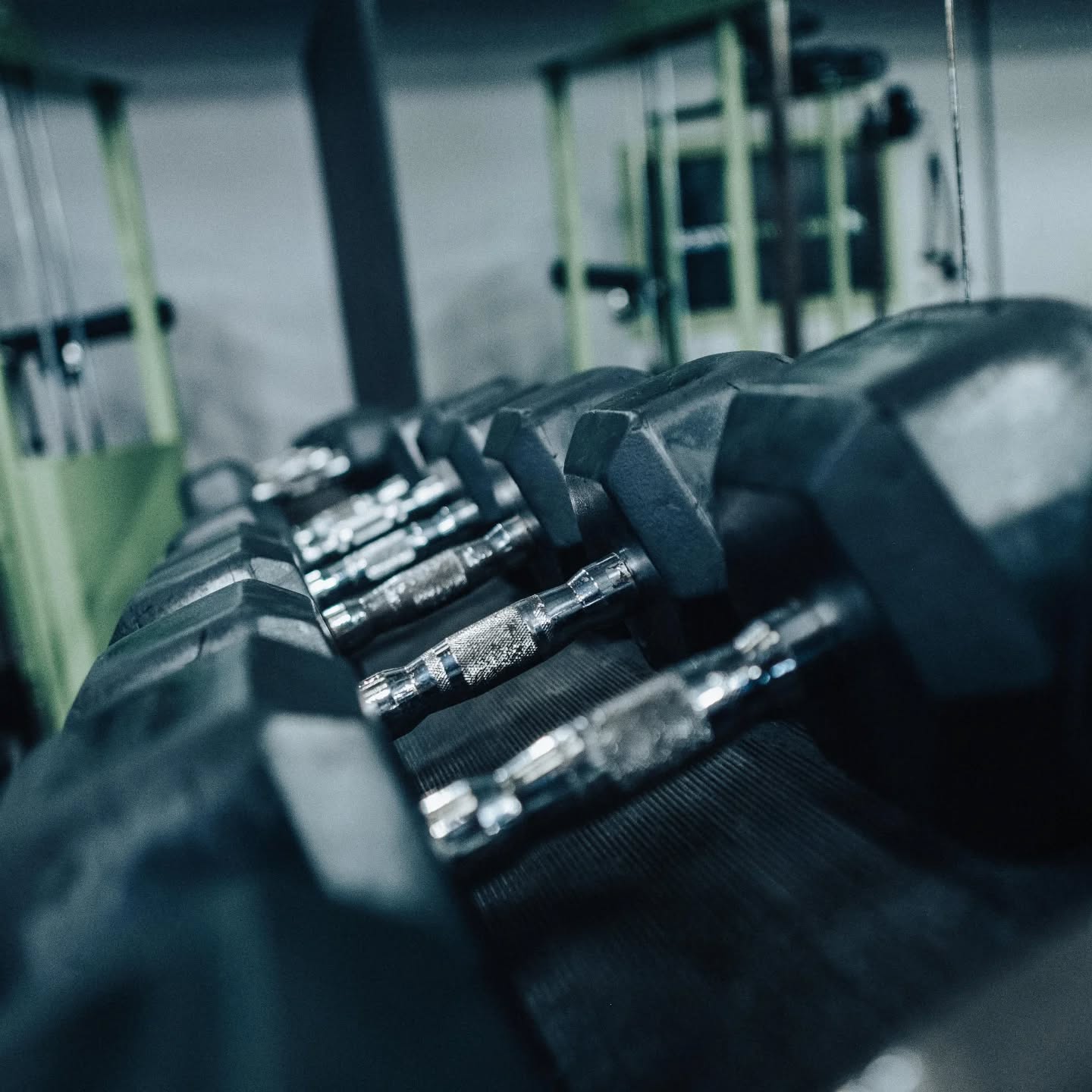 Daleon Fitness