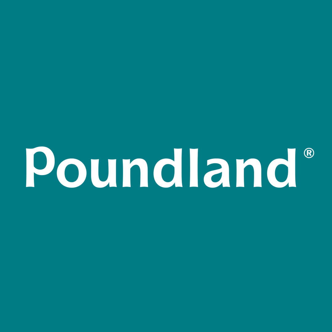 Poundland Neath