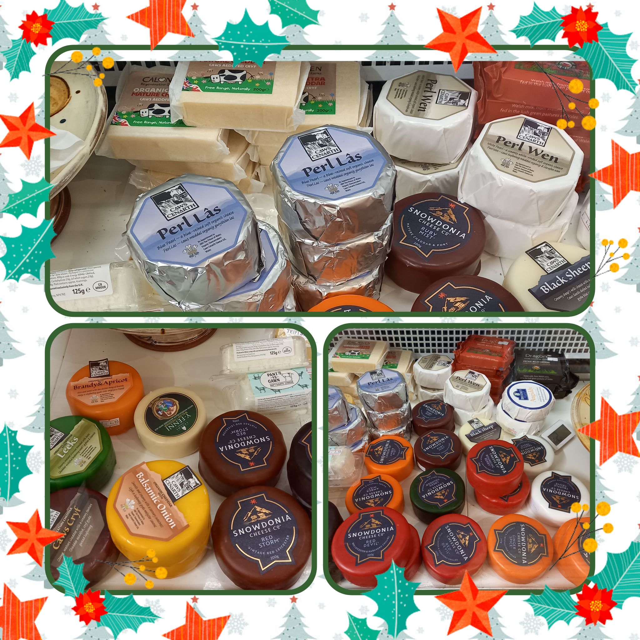 Wild Swan Whole Foods