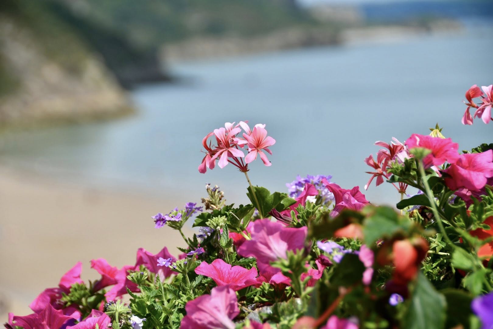Tenby House Hotel