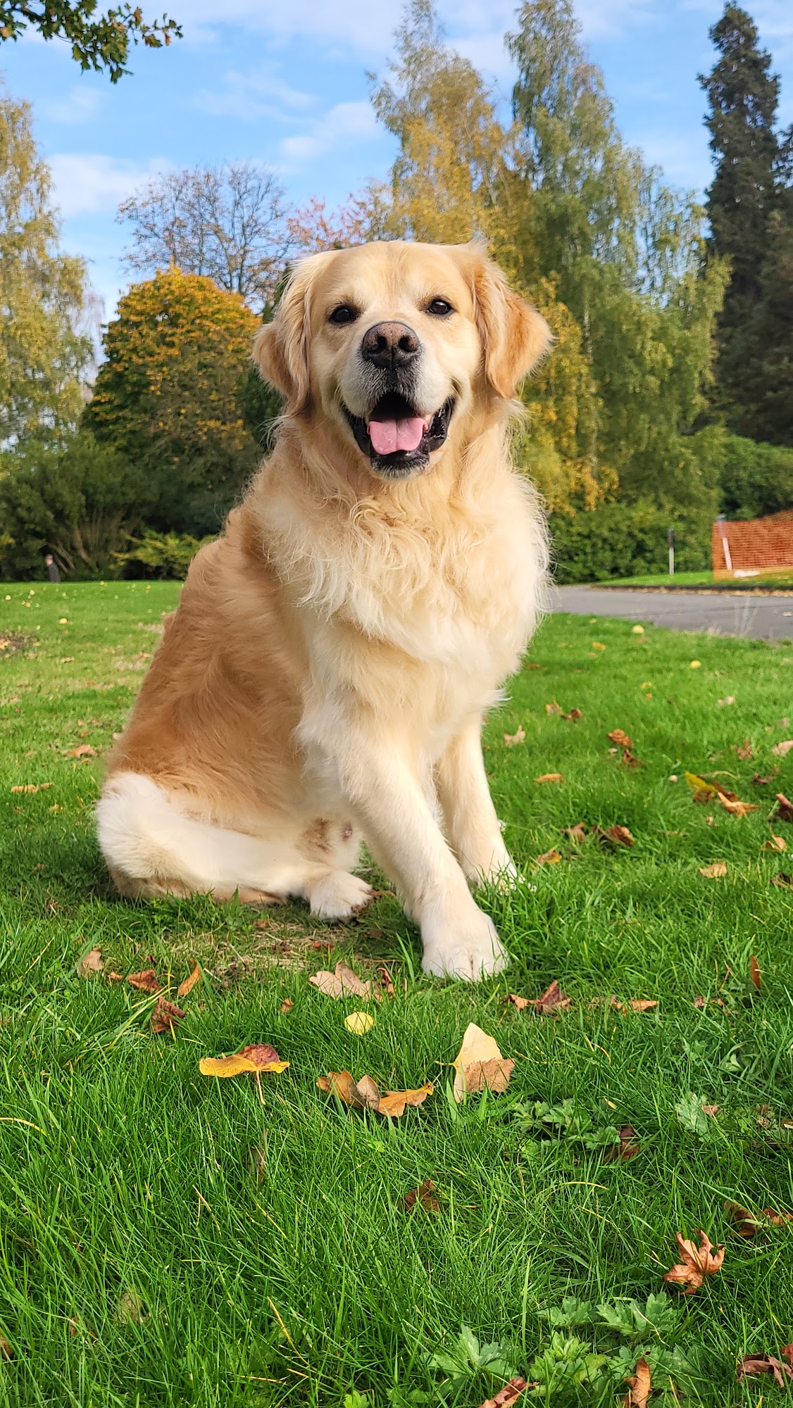 Pets at Home Leamington Spa
