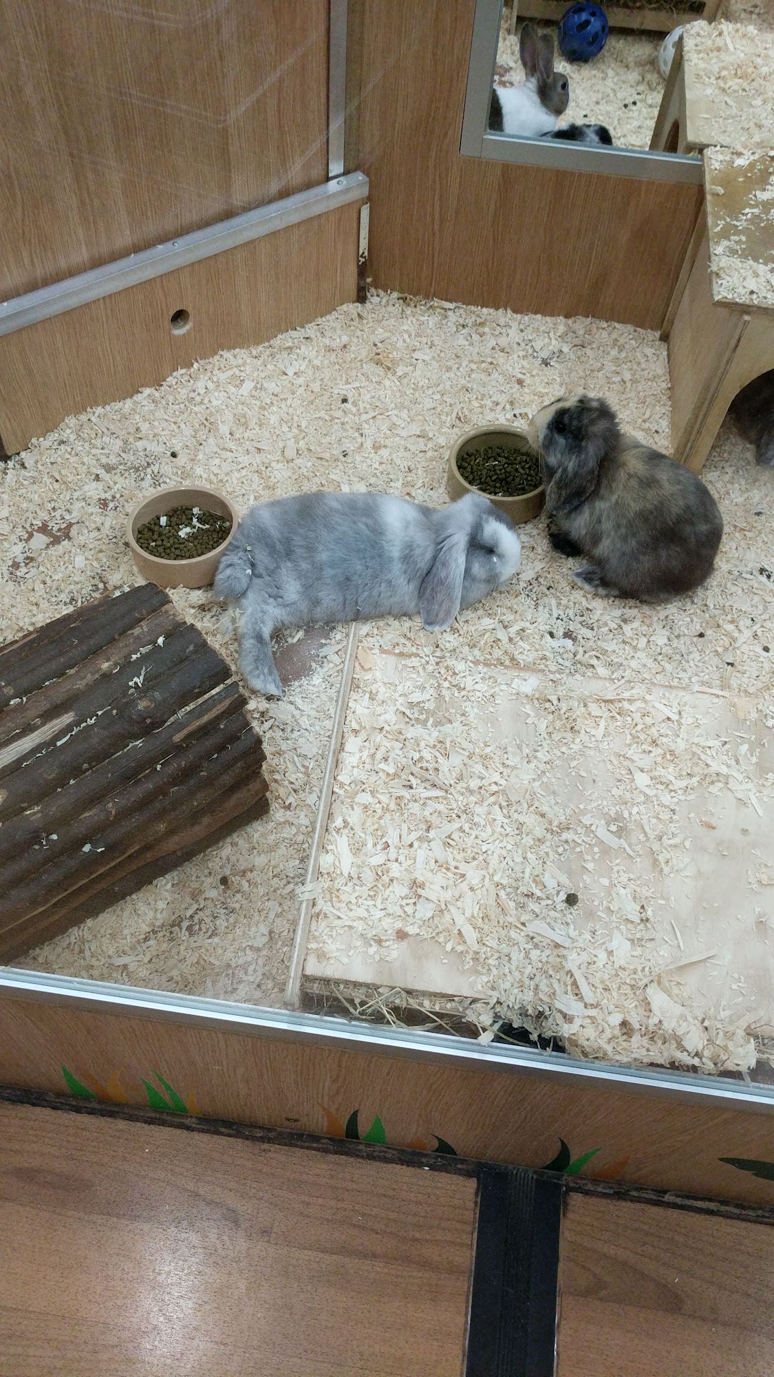 Pets at Home Walsall Reedswood Walsall