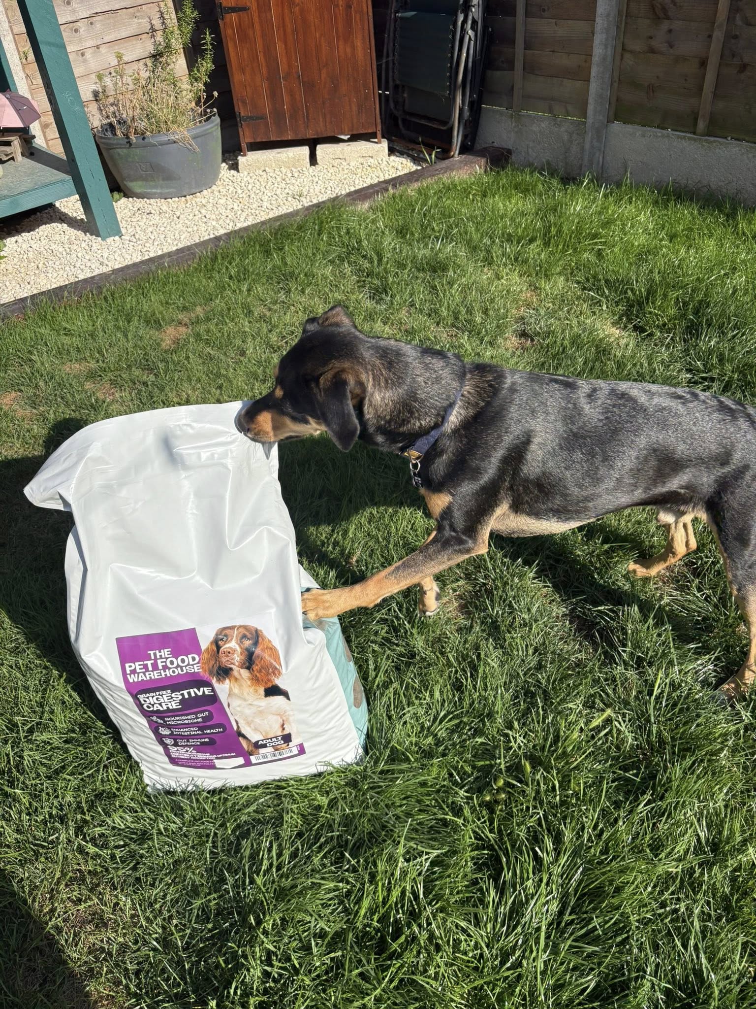 Pet Food Warehouse