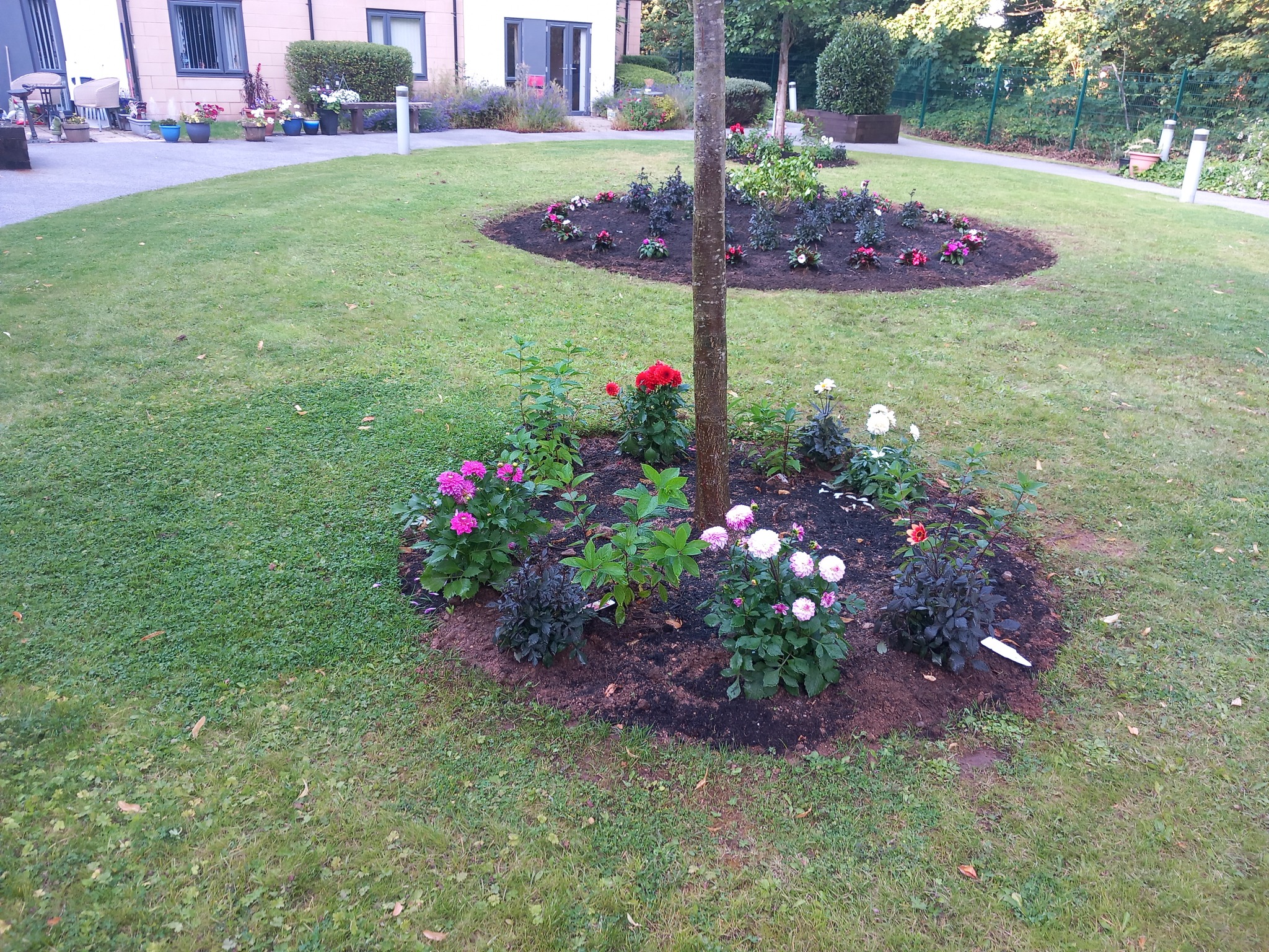 Elm Tree Court Extra Care Scheme.