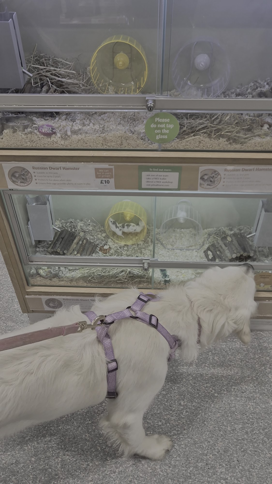 Pets at Home Wakefield