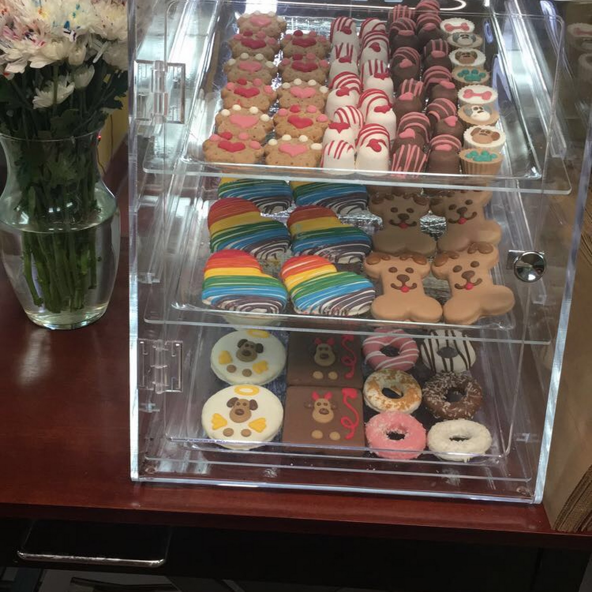 Antigo Veterinary Clinic Antigo