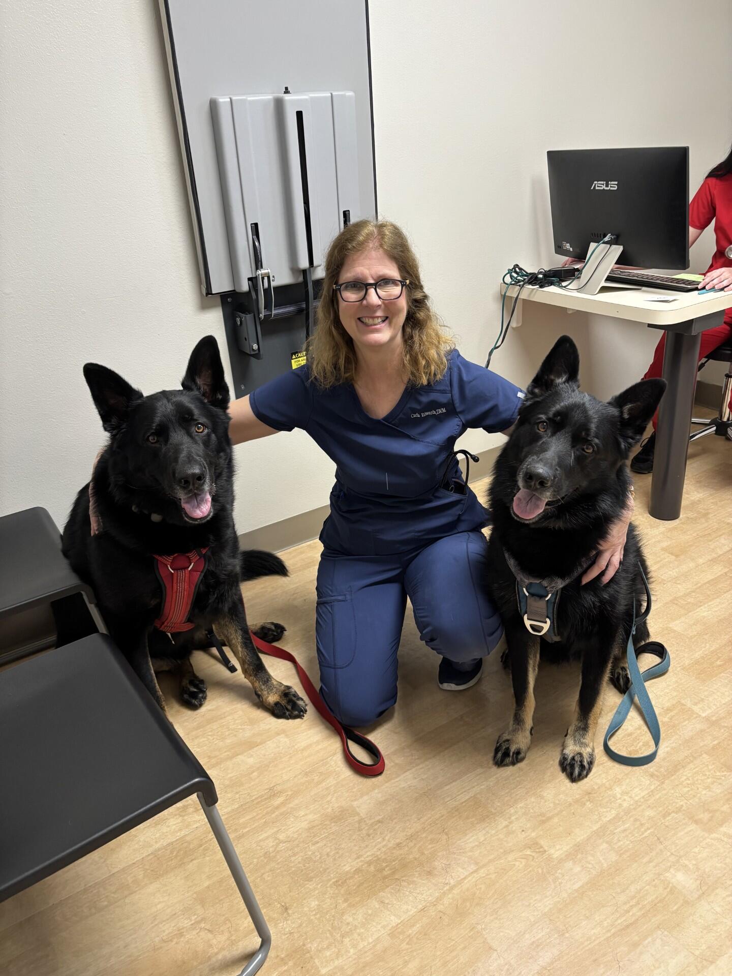 Apple Valley Veterinary Clinic Appleton