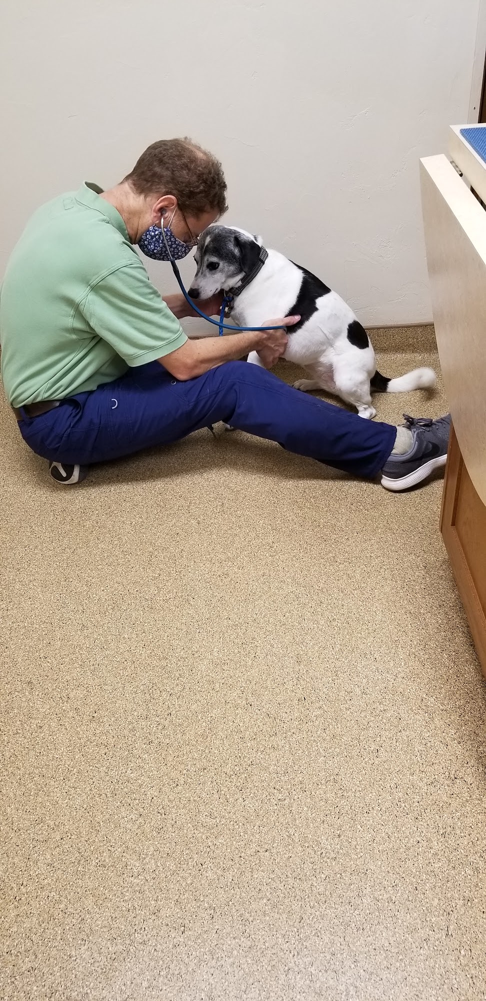 Fox River Animal Hospital Appleton