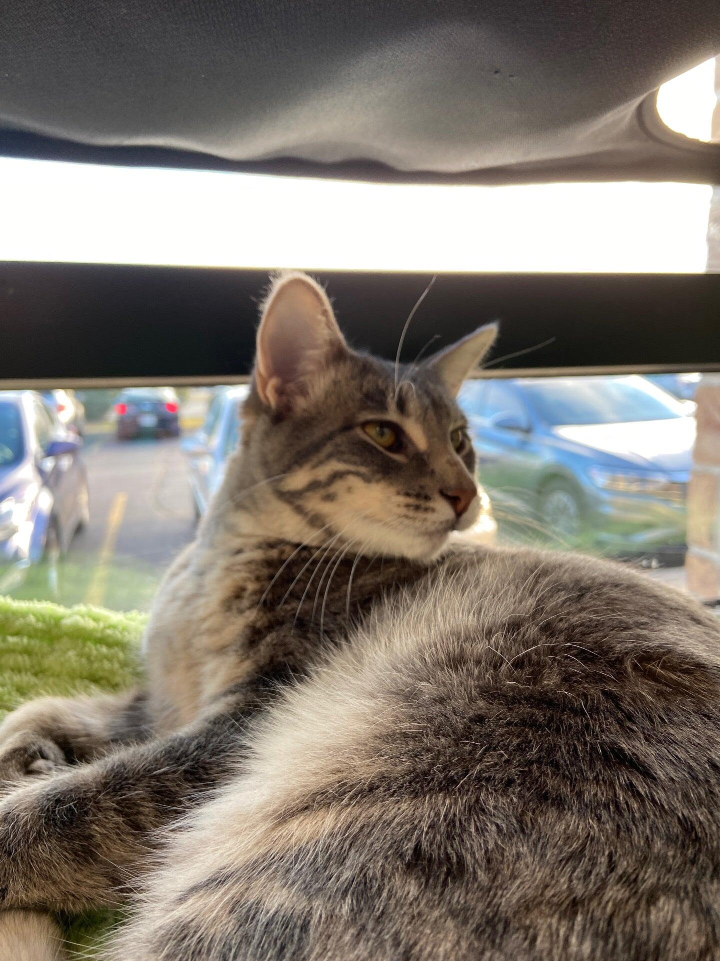 Photo credit: nextdoor
