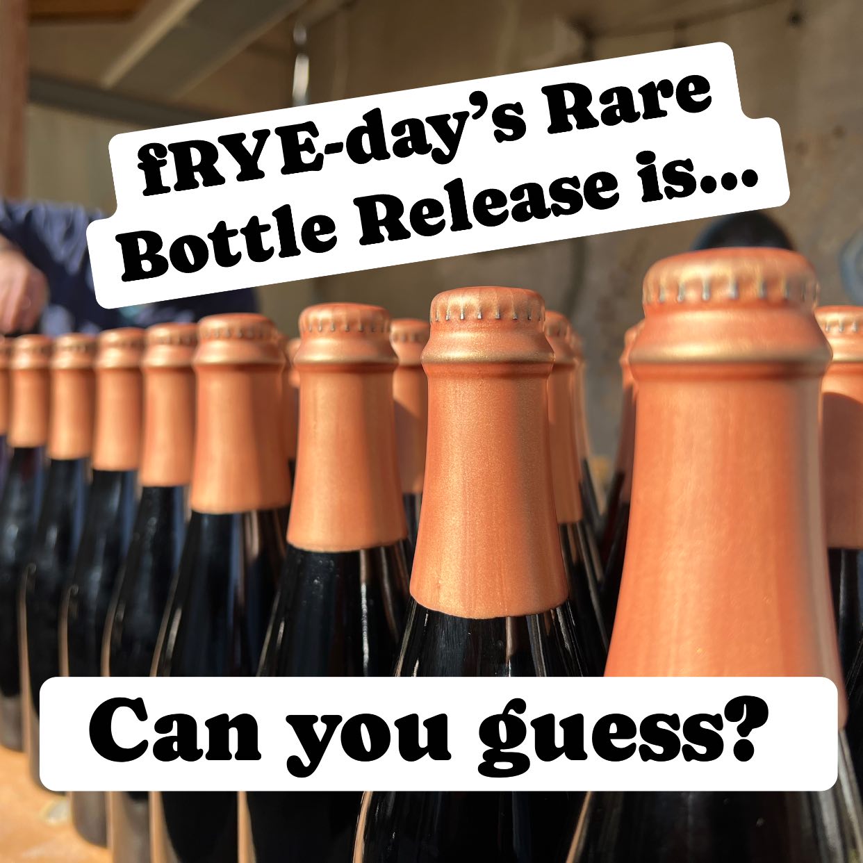 McFleshman's Brewing Co. Appleton