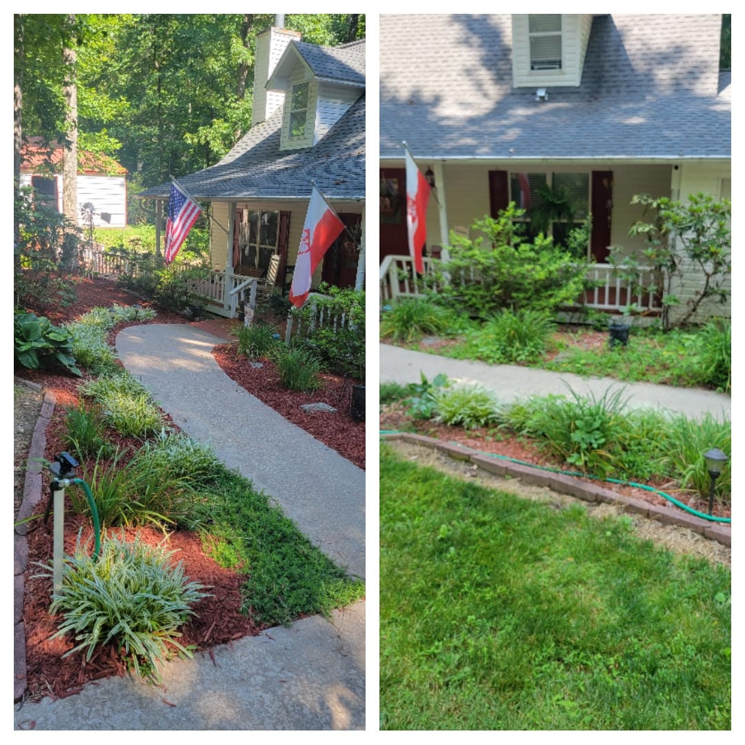 Black Bear Lawn Care LLC