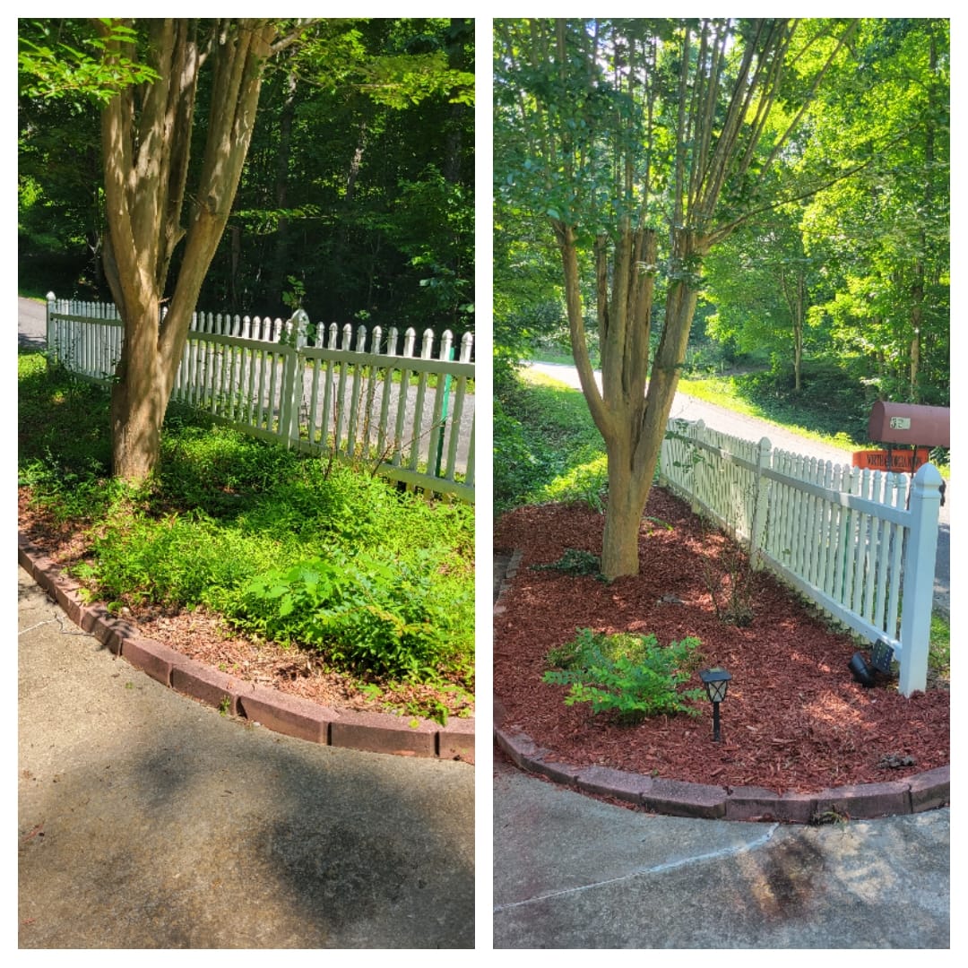 Black Bear Lawn Care LLC