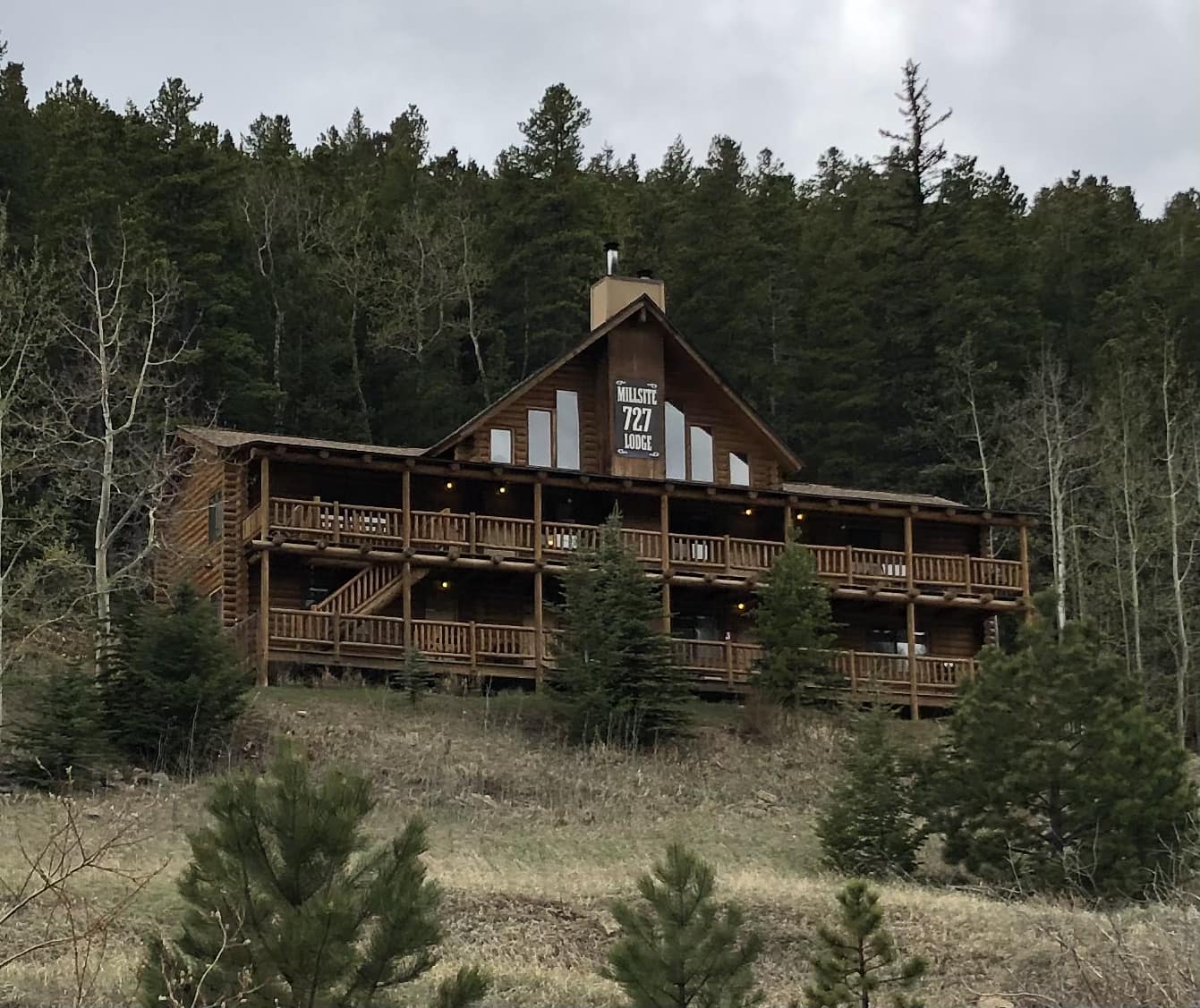 Action Painting & Epoxy Coatings