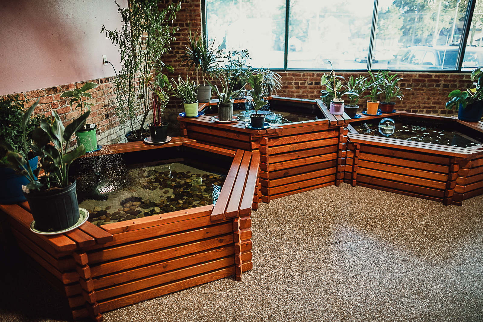 Wild Habitats Appleton