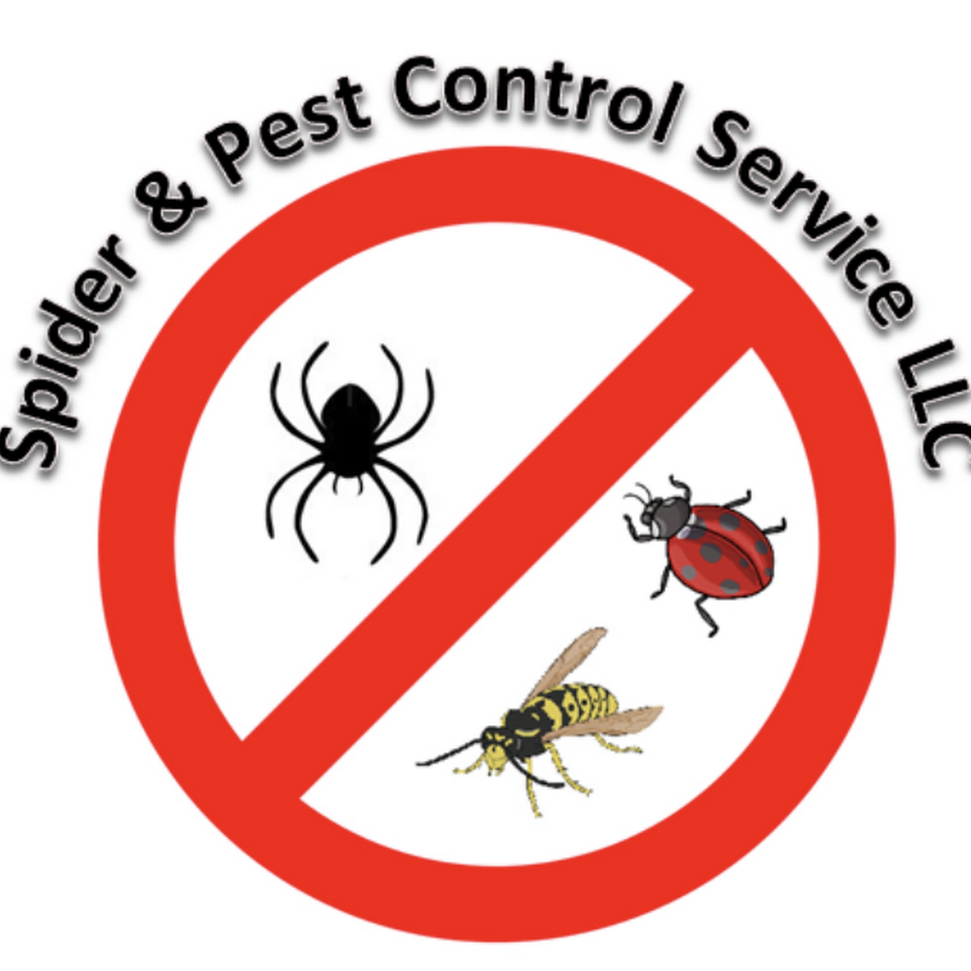 Spider and Pest Control Service
