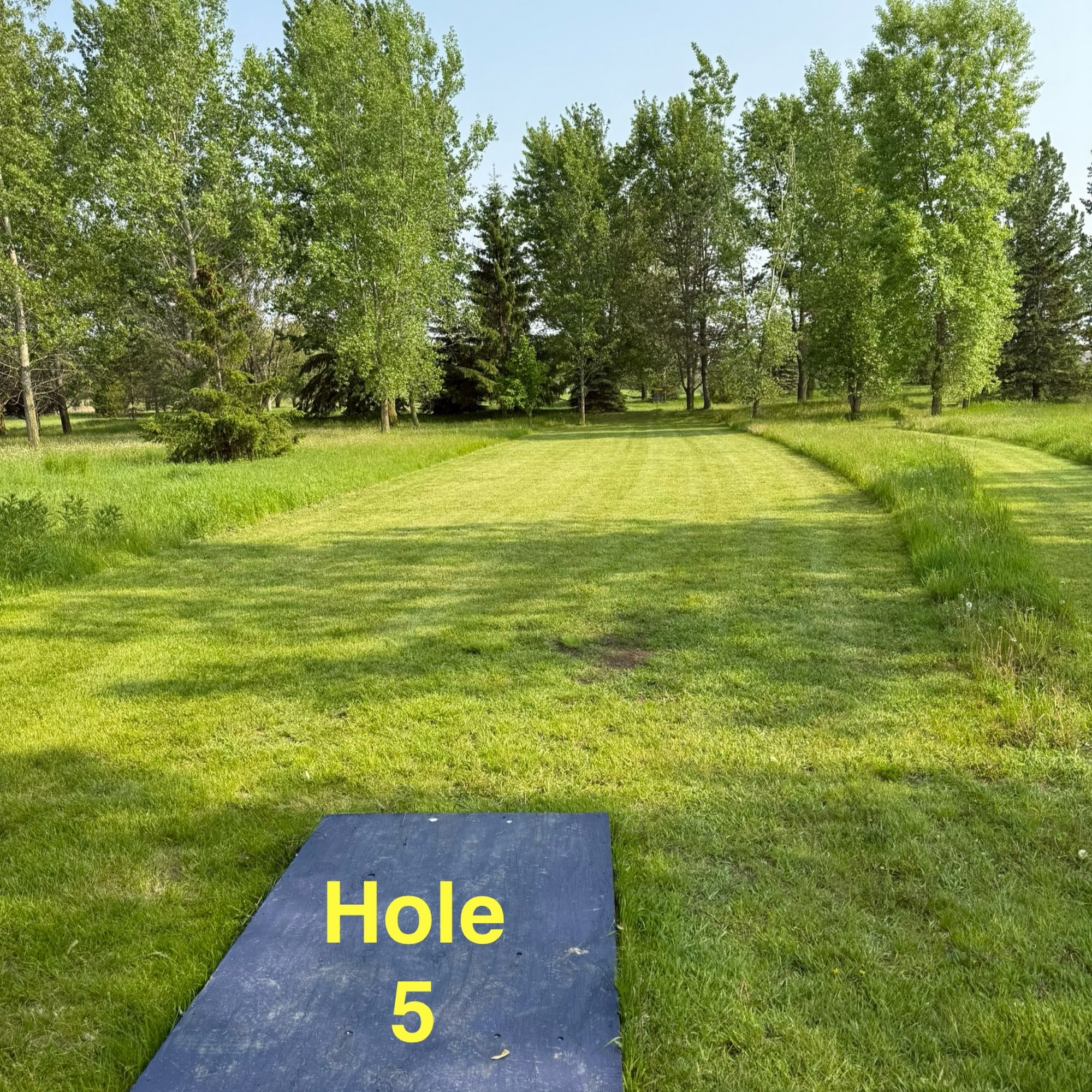 Backyard Brew Ashwaubenon