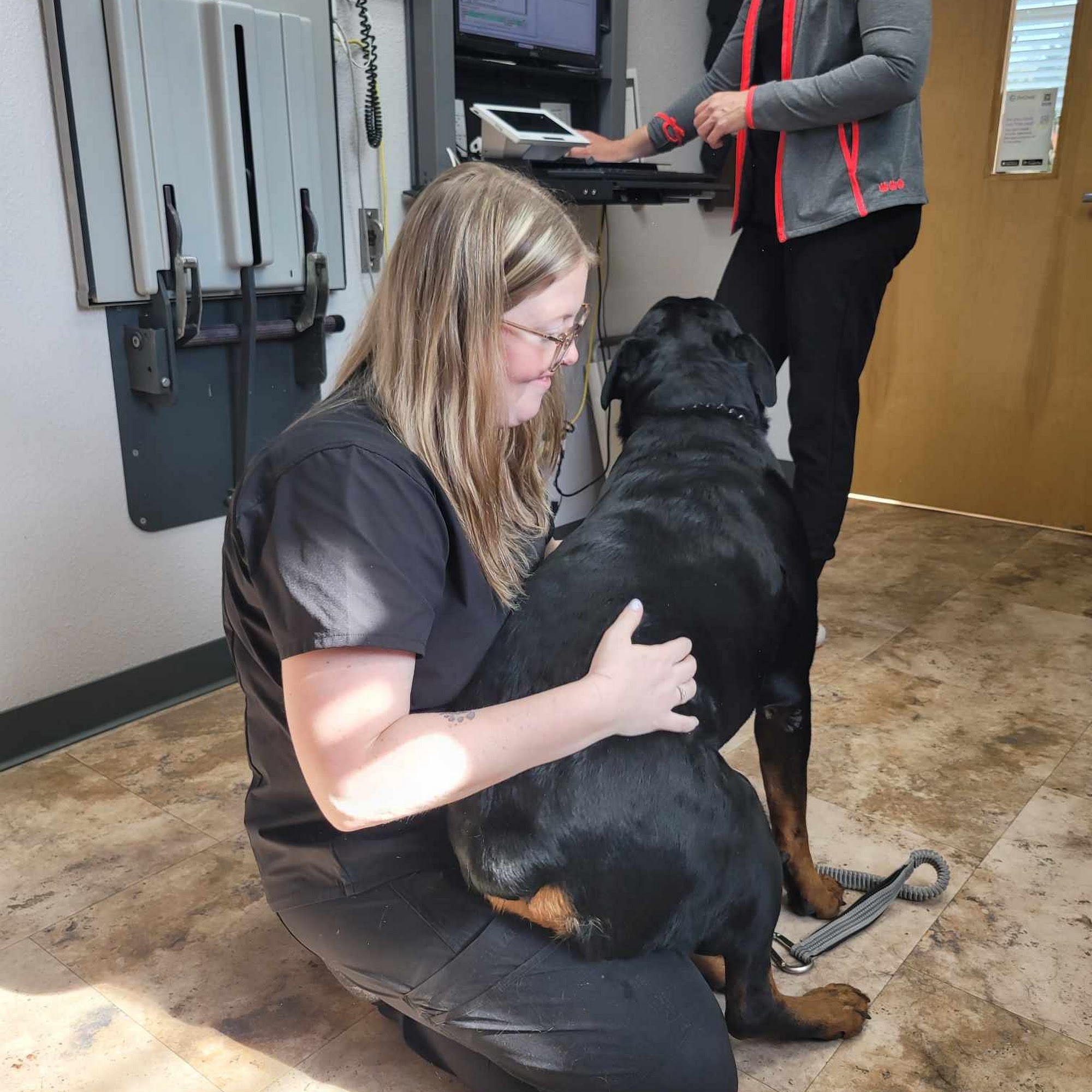 Homestead Veterinary Clinic Baldwin