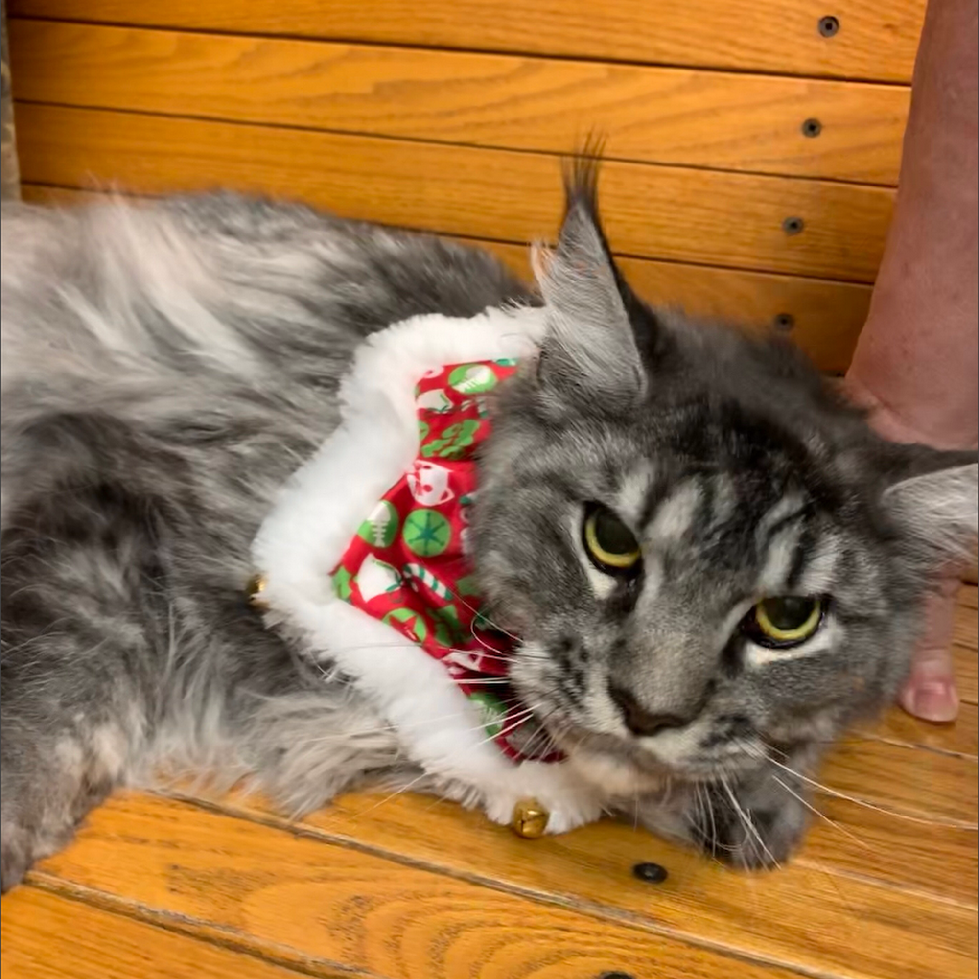 Hill-Dale Veterinary Care Baraboo