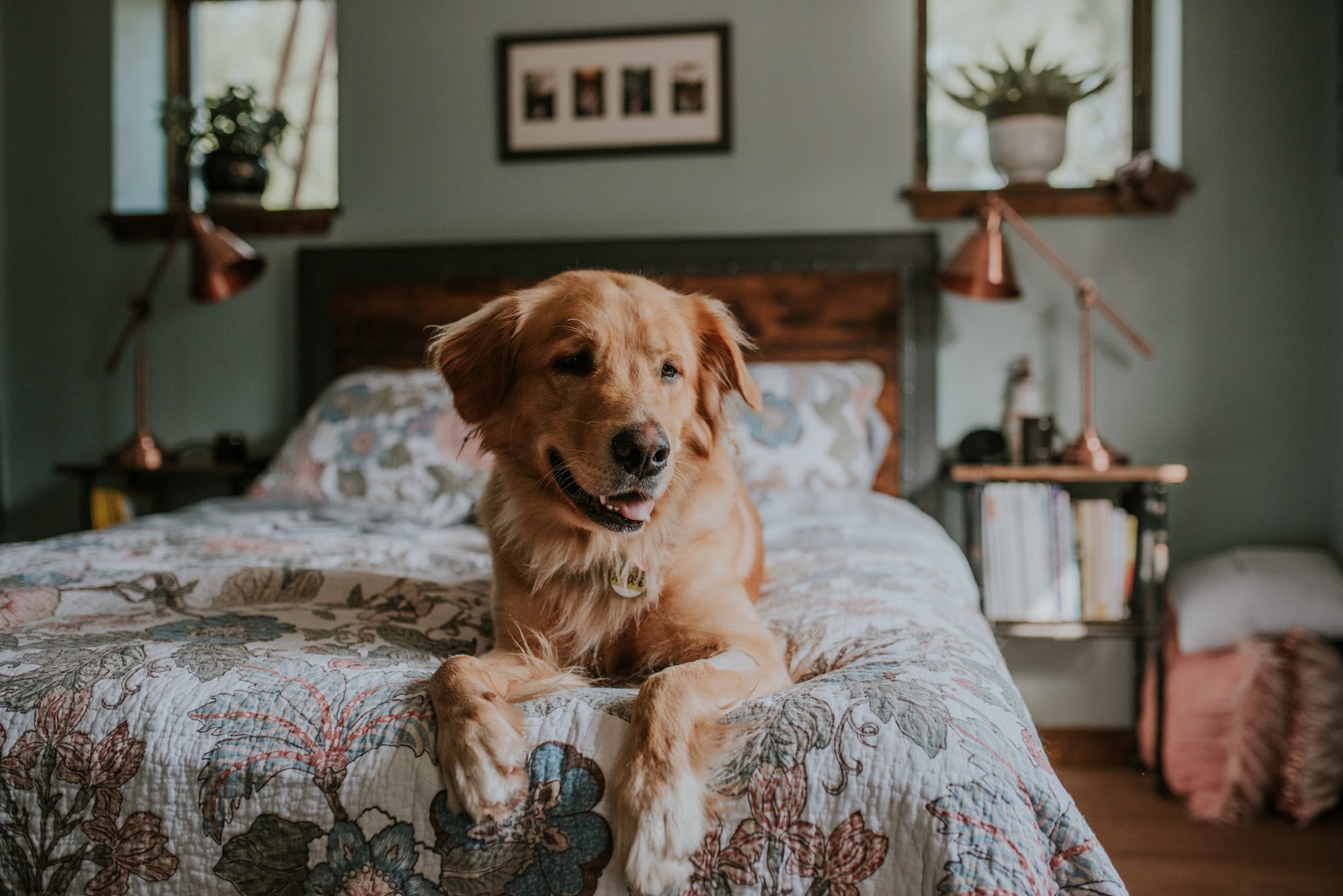 Hill-Dale Veterinary Care Baraboo