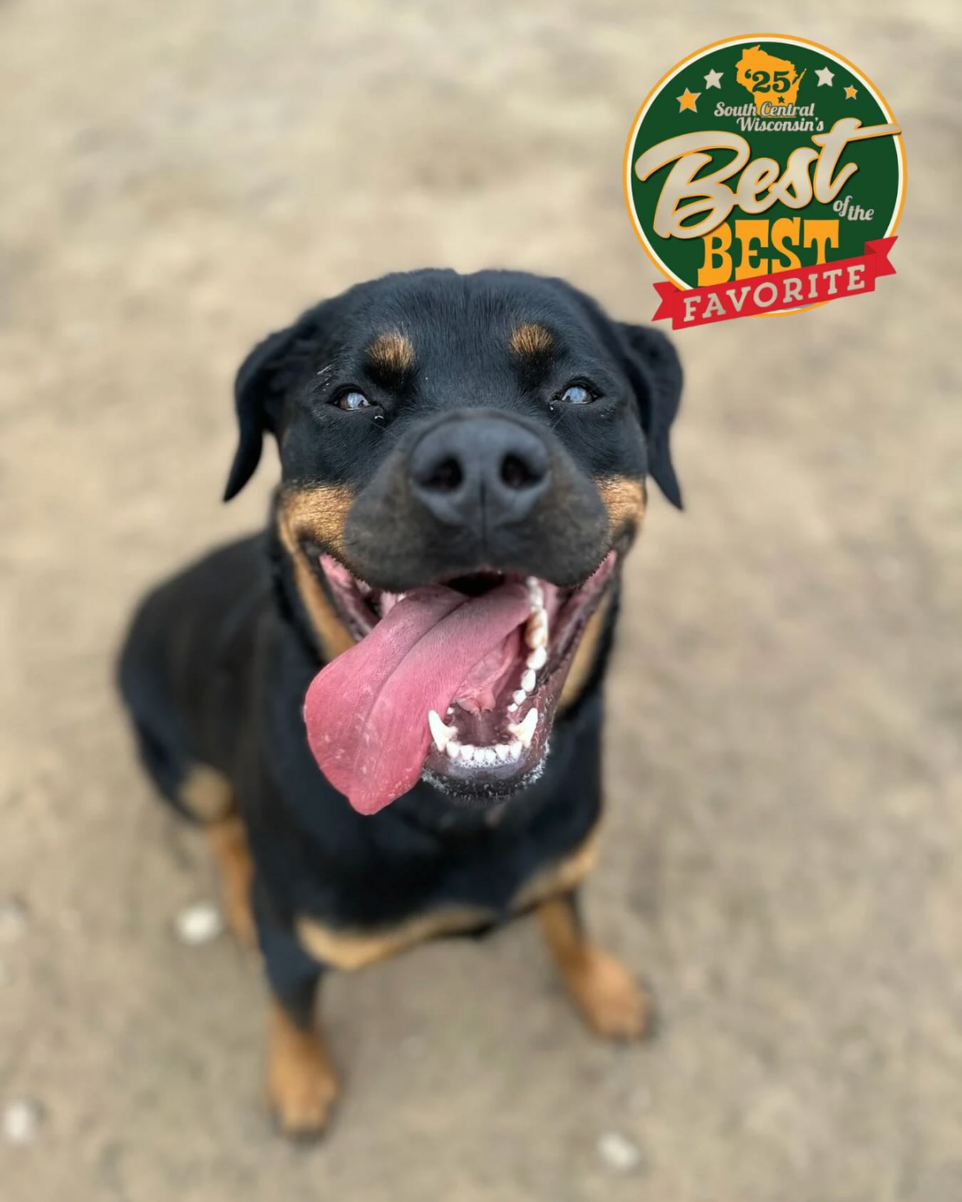The Dog House Pet Resort Baraboo