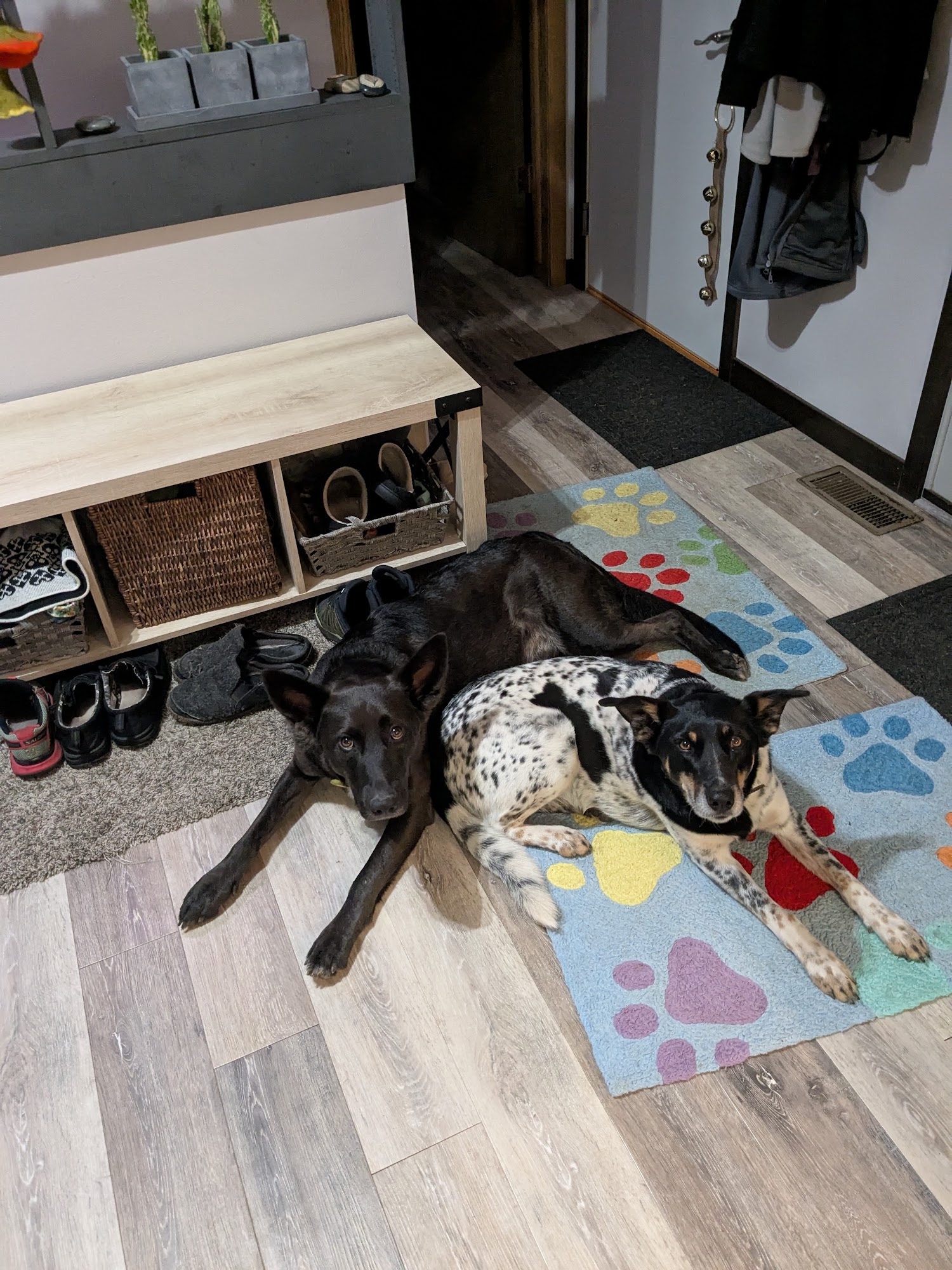 Rockwood Kennels Baraboo