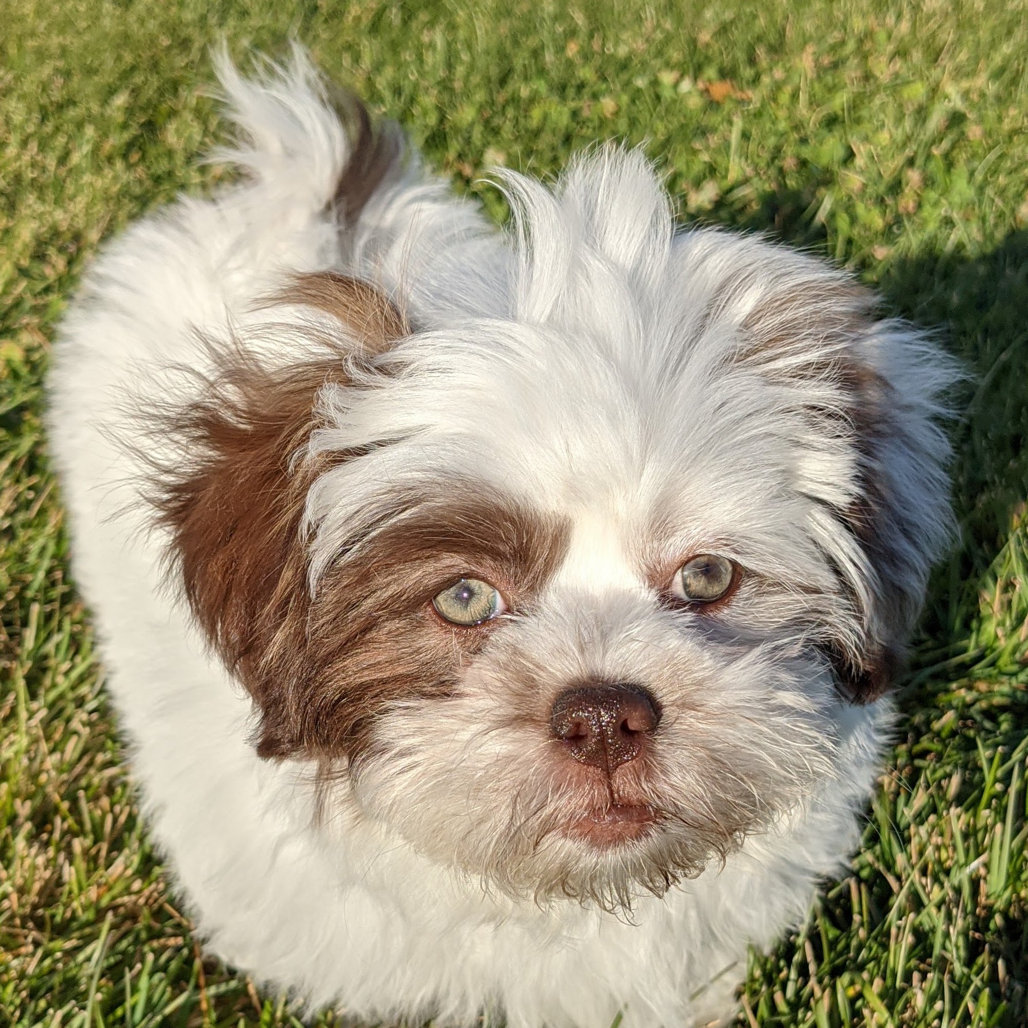Animal Clinic of Beaver Dam Beaver Dam