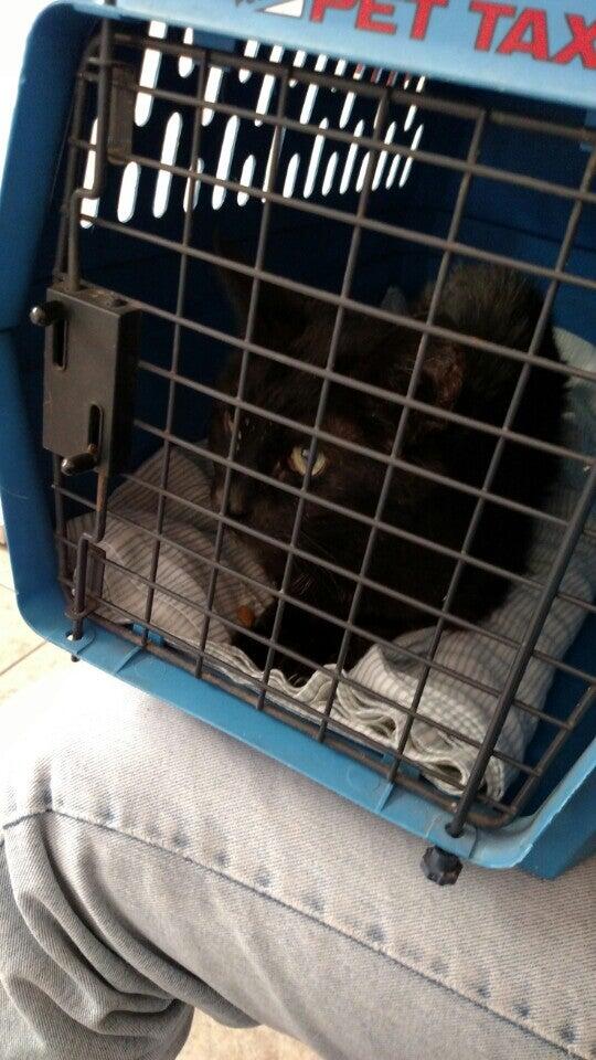 Photo credit: nextdoor