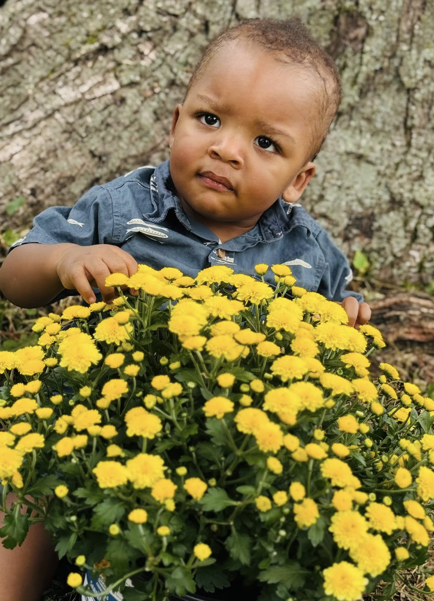 Captured Images by Christal Photography