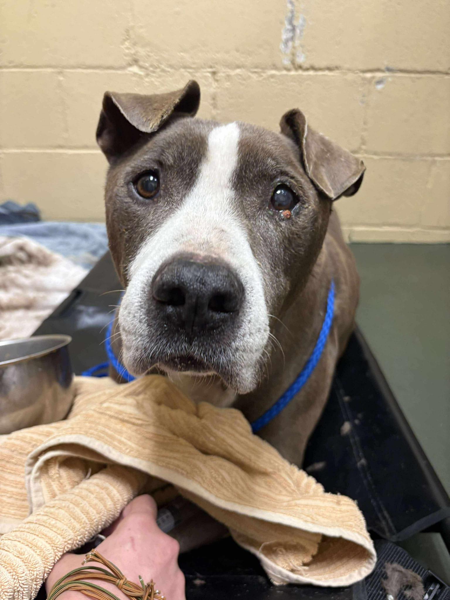 Smith Kendyle M DVM Beloit