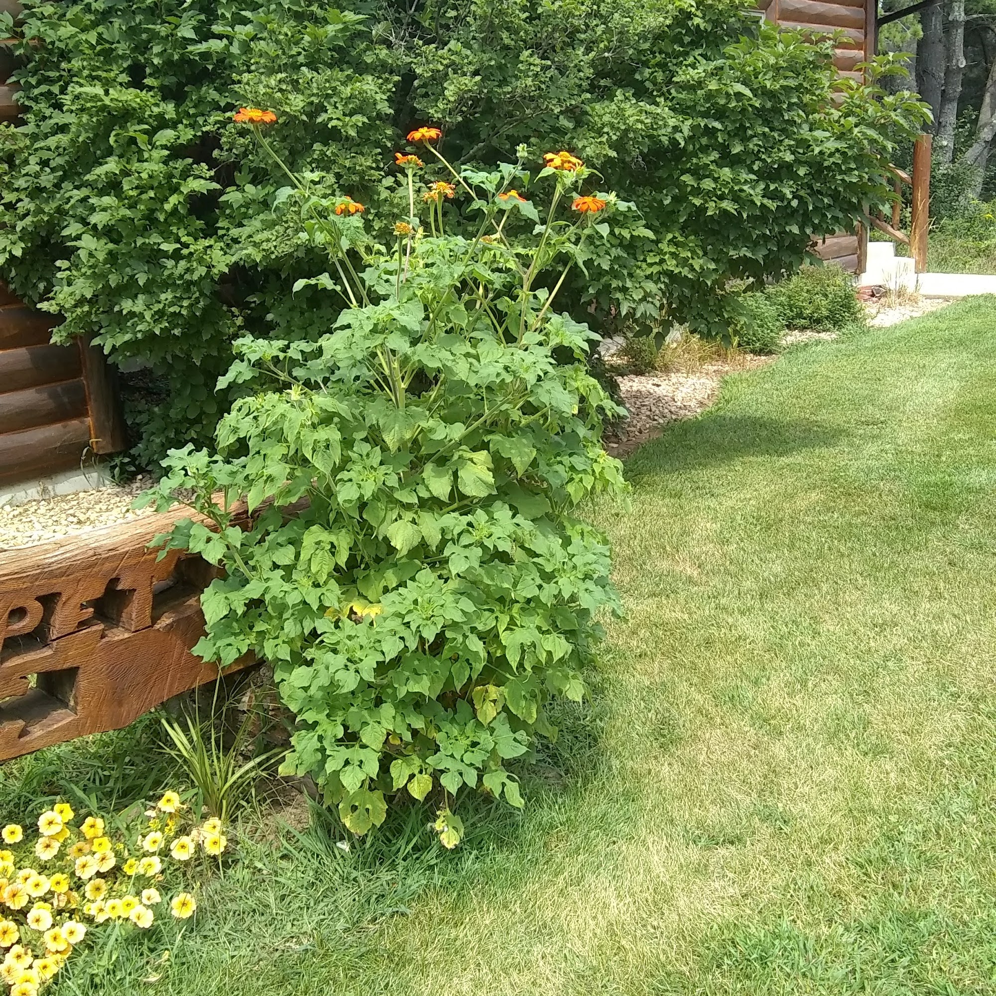 Country Pet Clinic Black River Falls