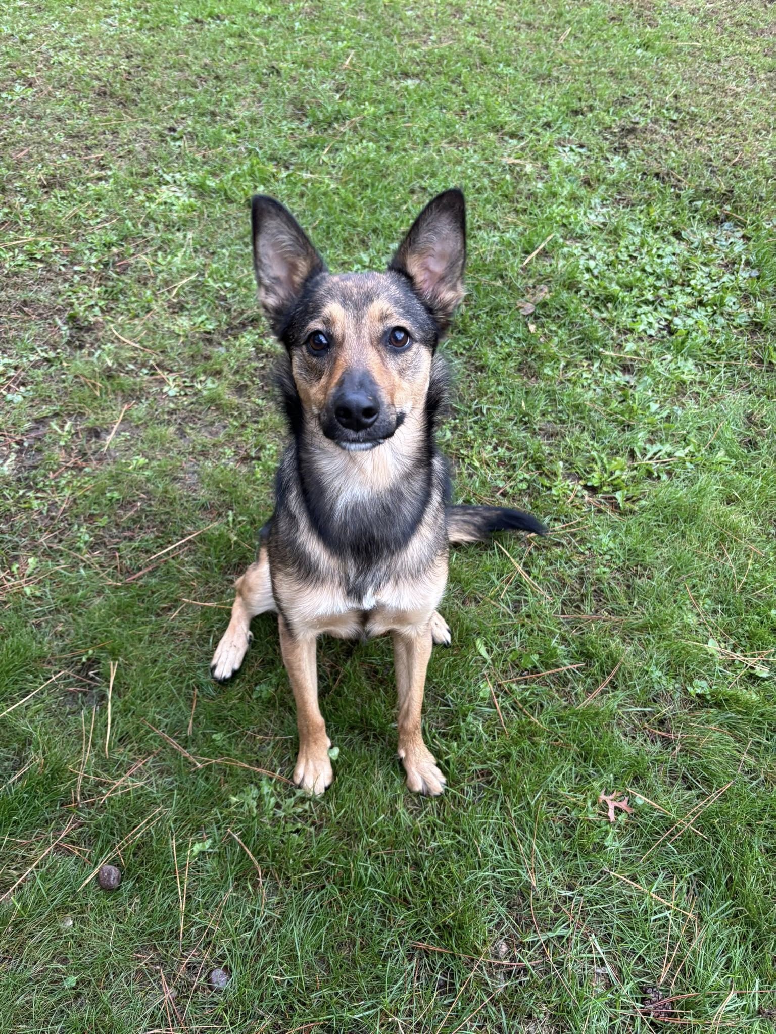 K-9 Country Lodge Black River Falls