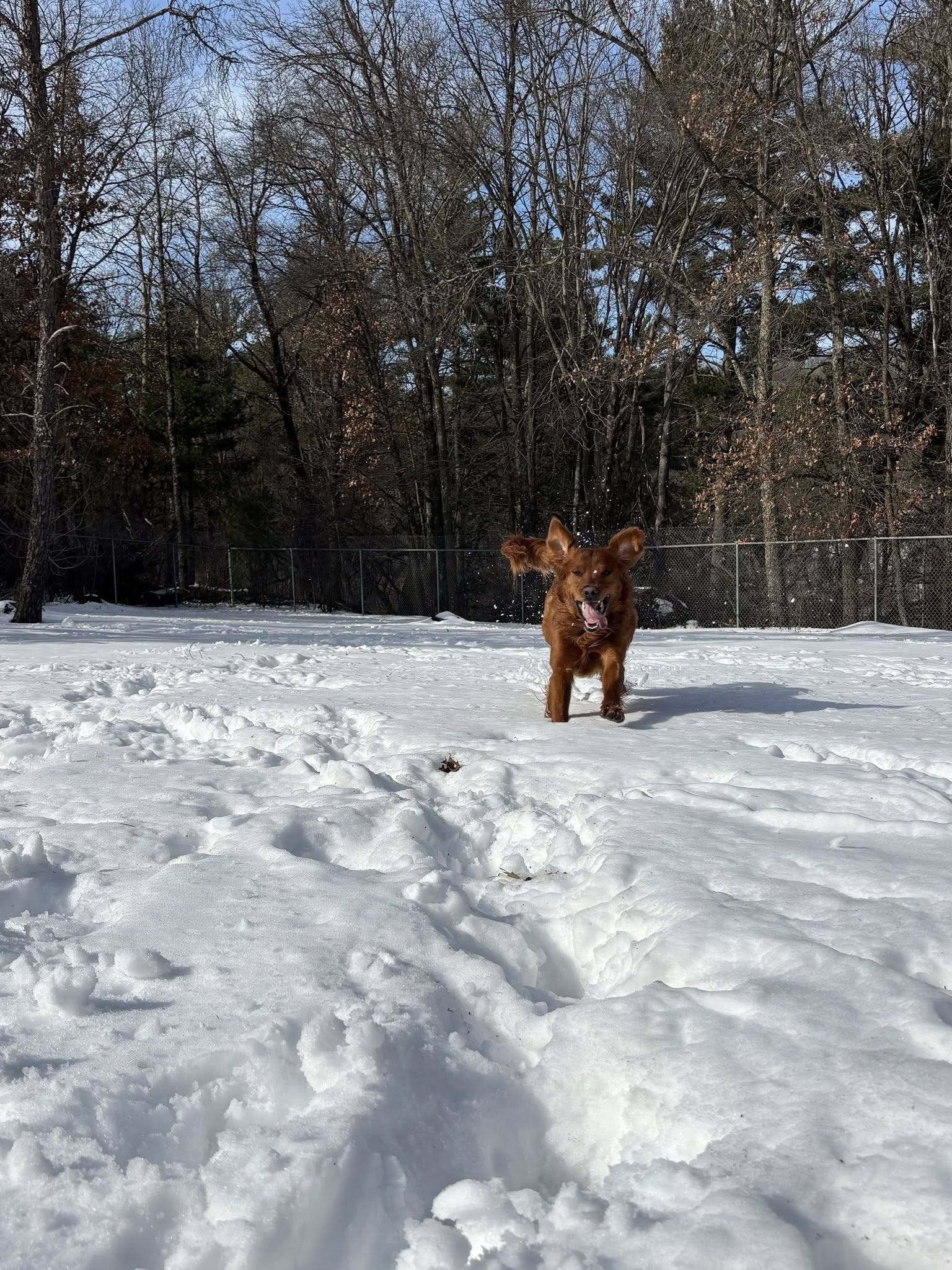 K-9 Country Lodge Black River Falls
