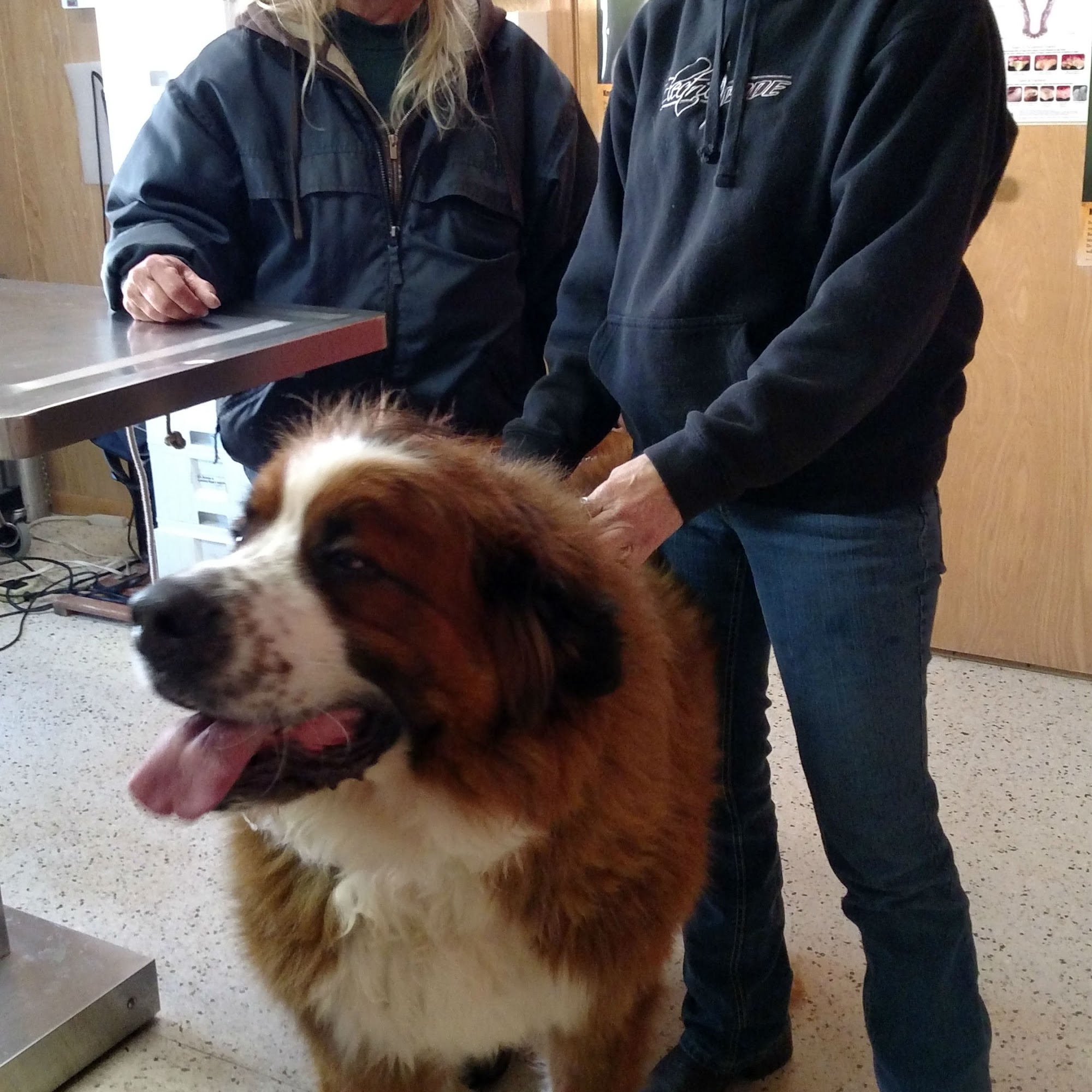 Dr. Reiter's Veterinary Clinic Bloomer